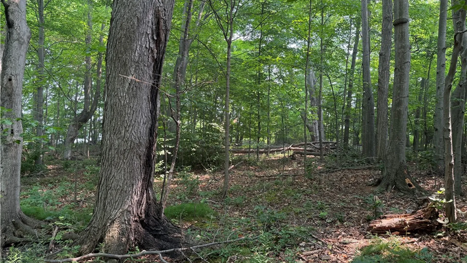 Property at 0 Wilson Ext Road, Carlton, NY 14411 4