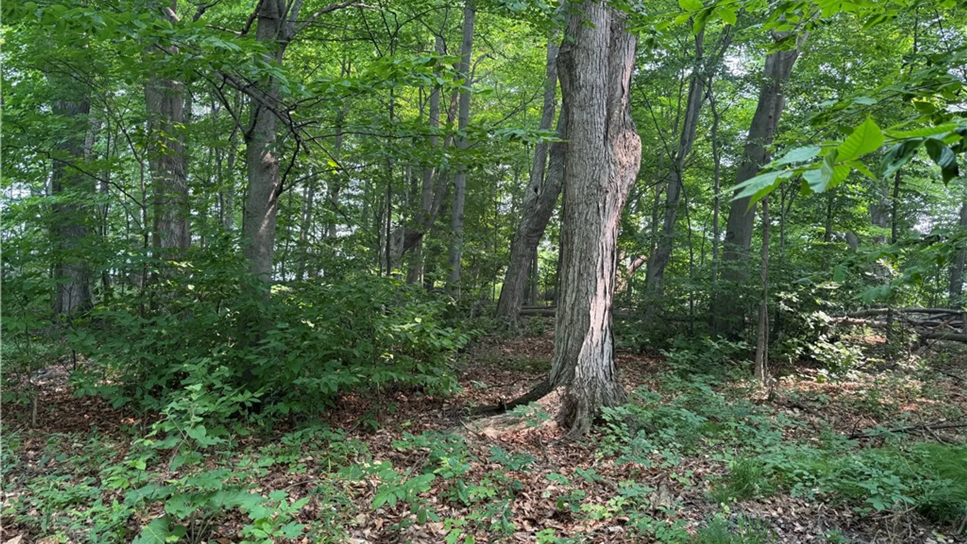 Property at 0 Wilson Ext Road, Carlton, NY 14411 5
