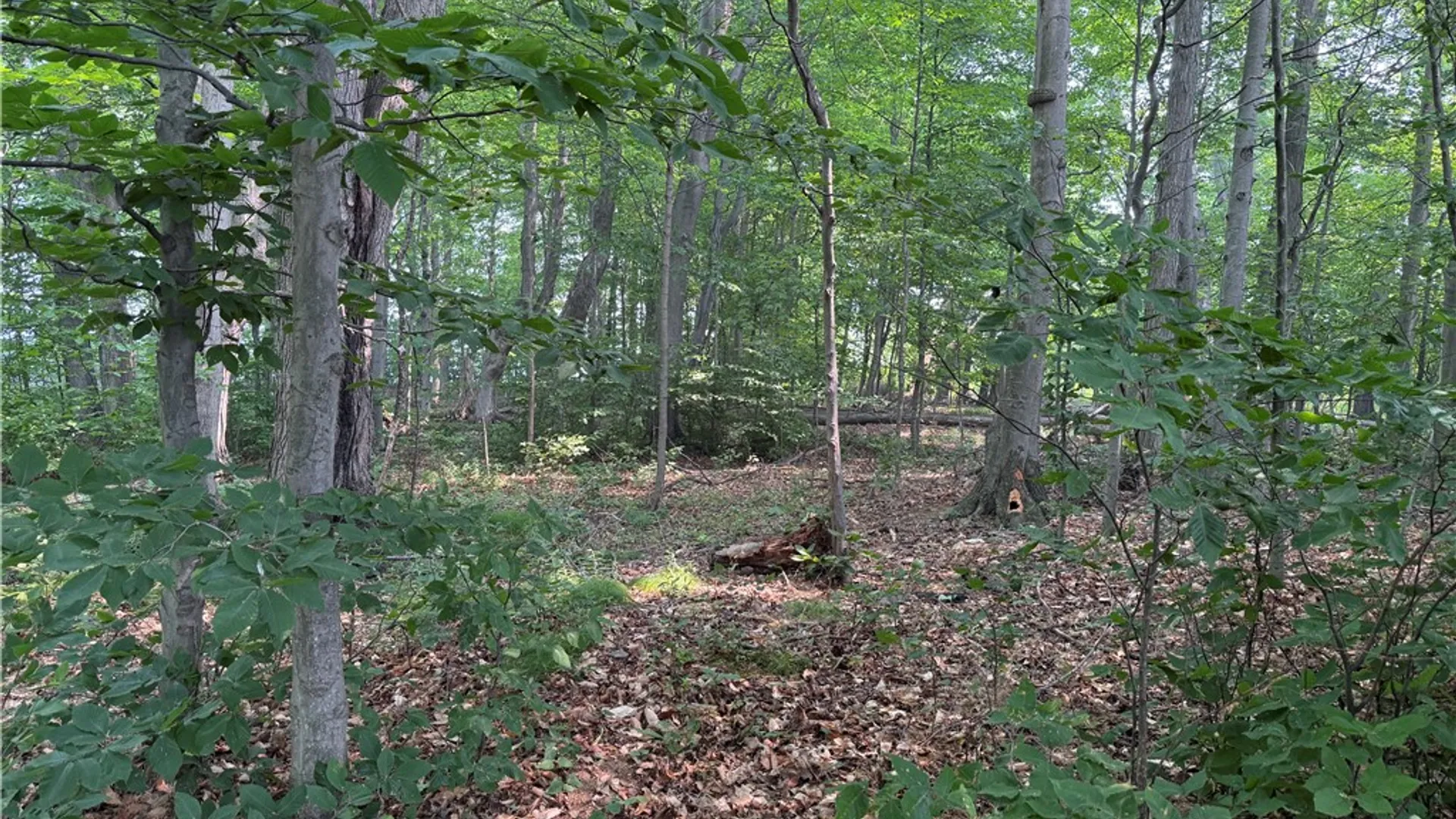 Property at 0 Wilson Ext Road, Carlton, NY 14411 10