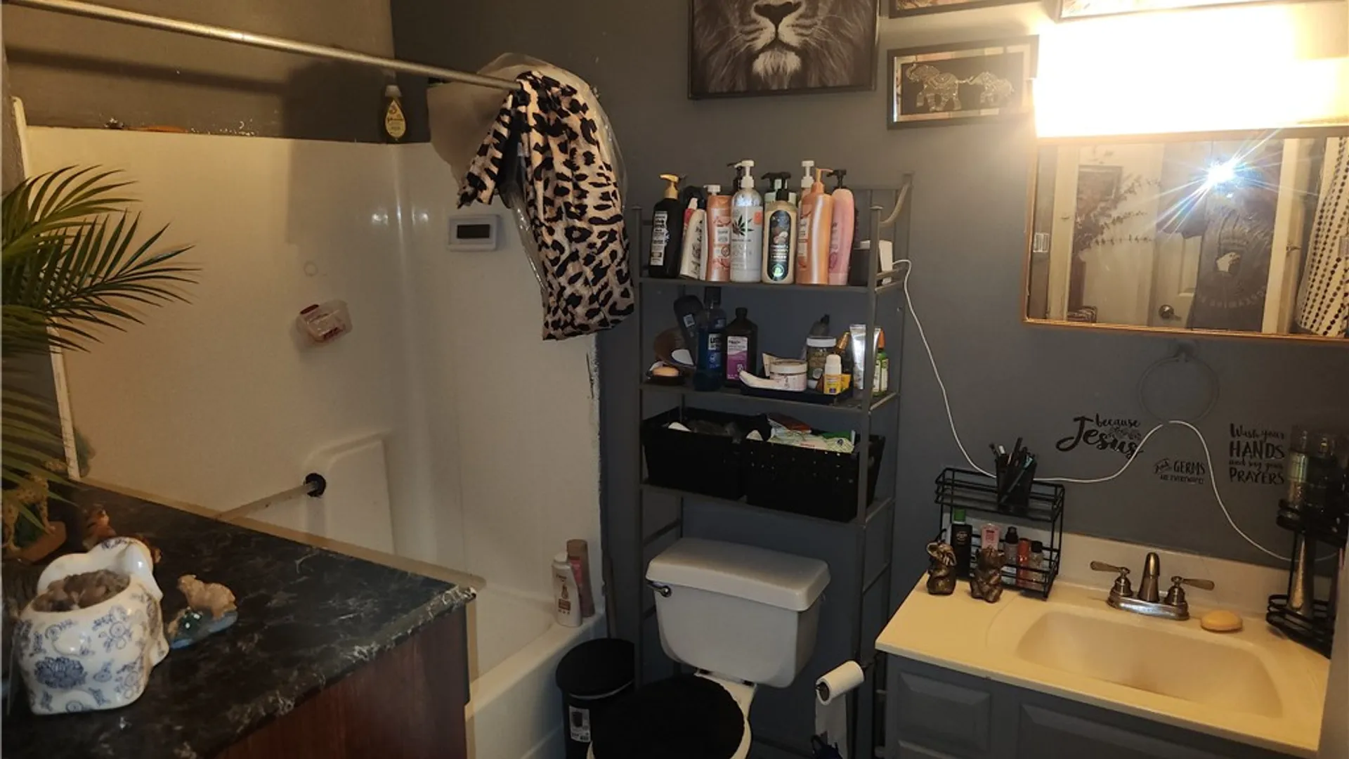 Property at 8 Princeton Street, Rochester, NY 14605 7