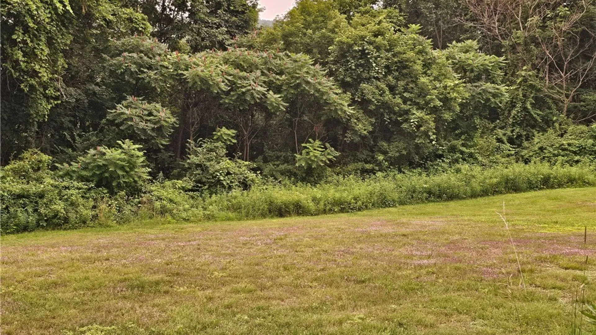 Property at 6243 Charlotte Creek Road, Davenport, NY 13750 32