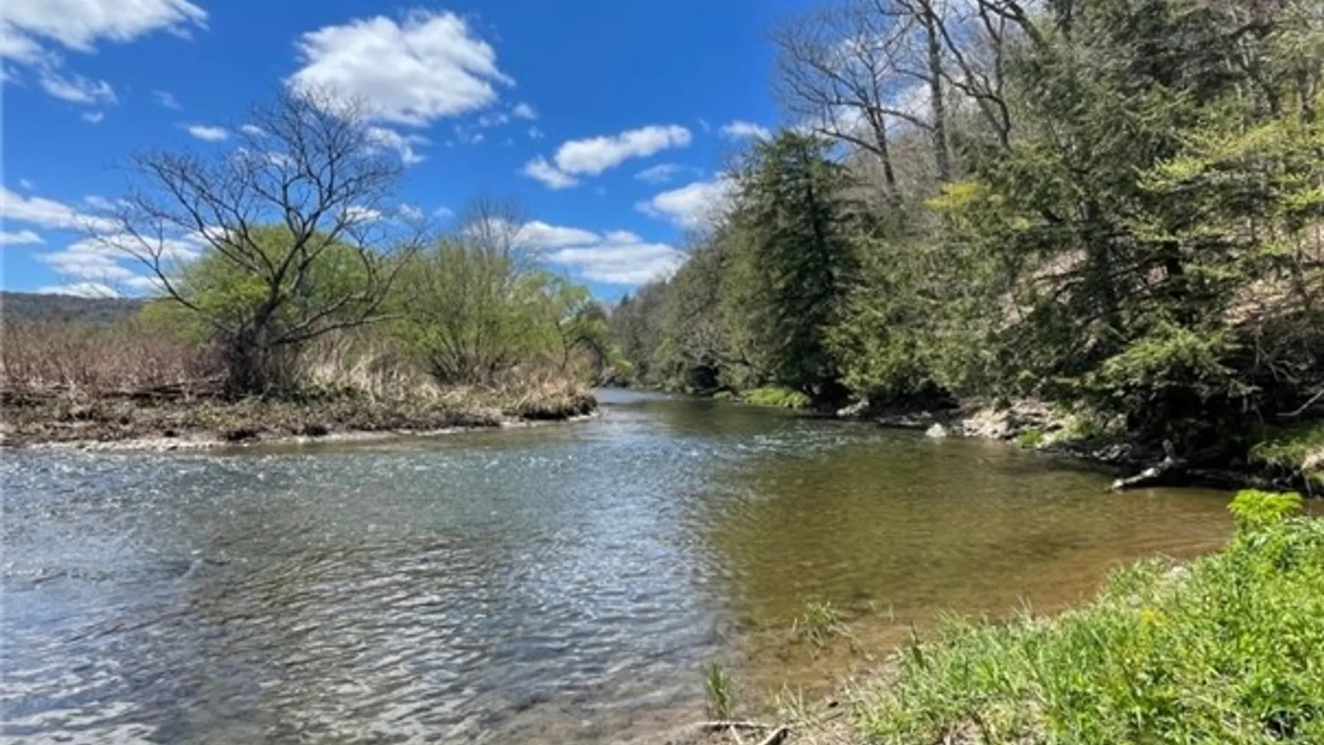 Property at 6243 Charlotte Creek Road, Davenport, NY 13750 33