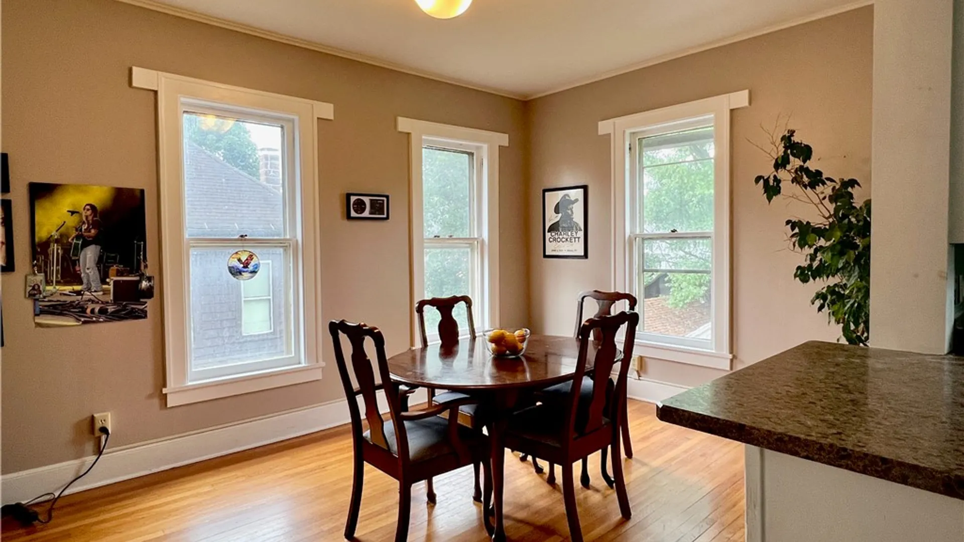 Property at 33 Elm Street, Oneonta, NY 13820 4