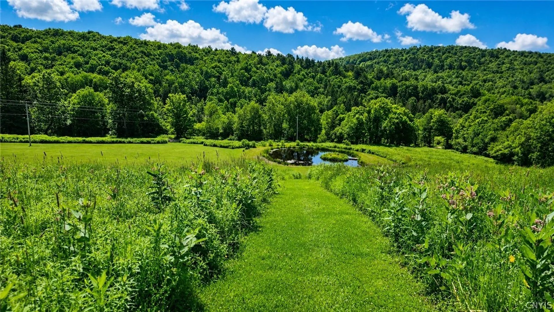 Property at 304 Sutherland Road, Meredith, NY 13757 39