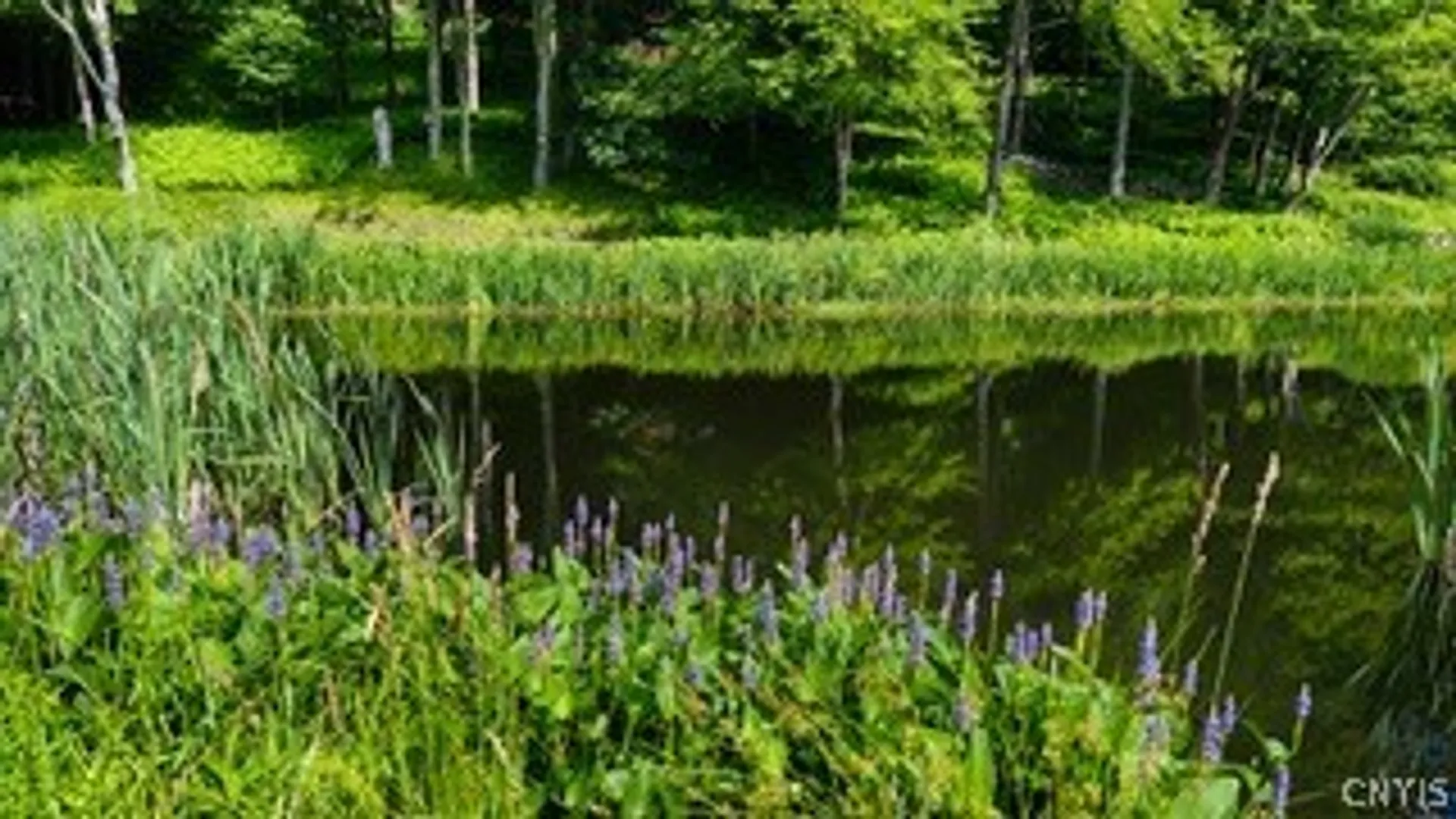 Property at 304 Sutherland Road, Meredith, NY 13757 33