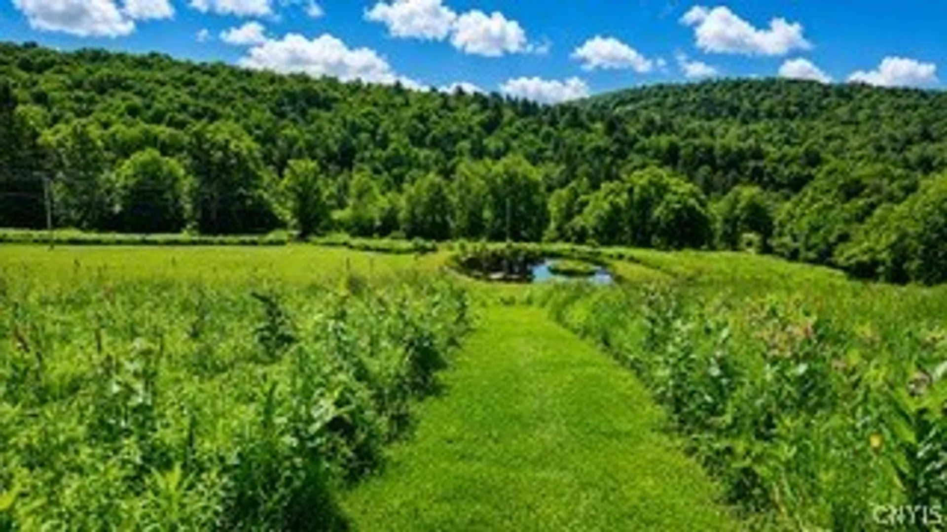 Property at 304 Sutherland Road, Meredith, NY 13757 39