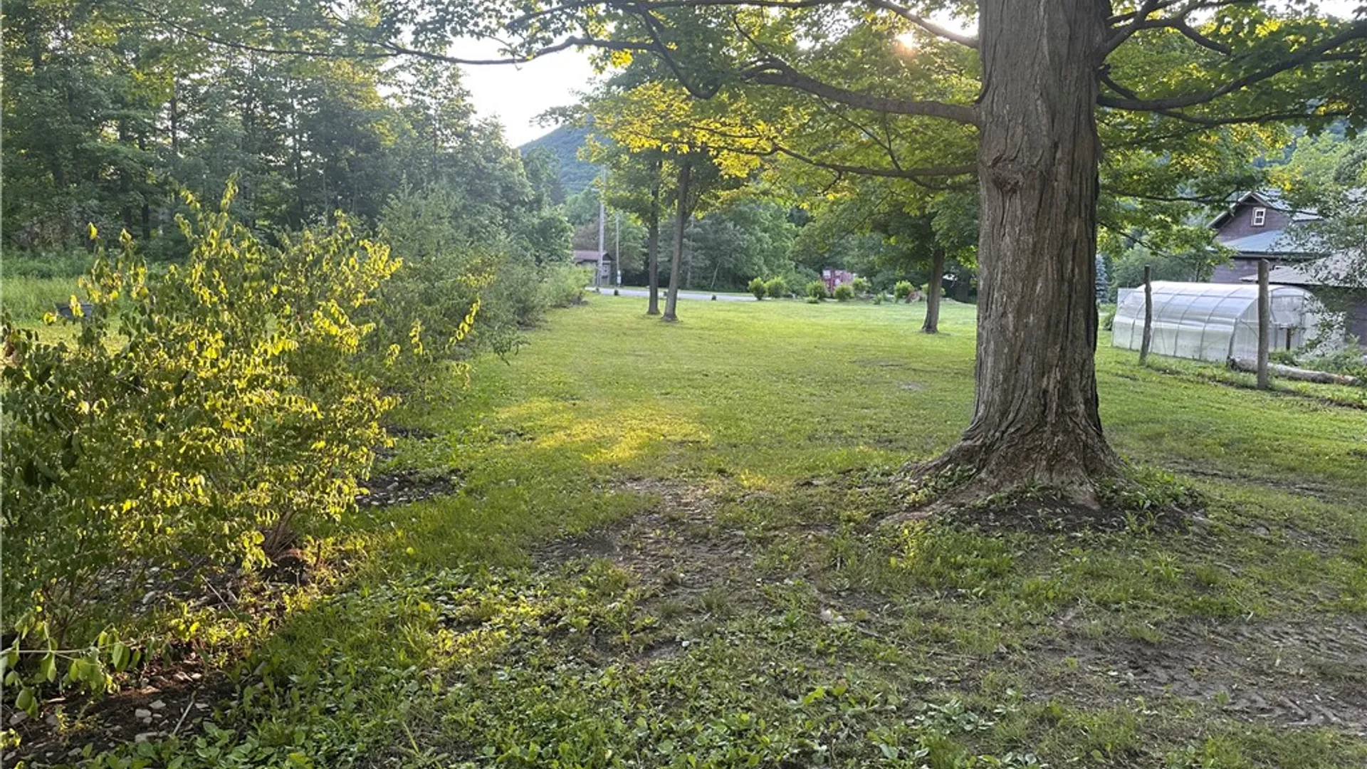 Property at 160 Martin Road, Italy, NY 14512 32