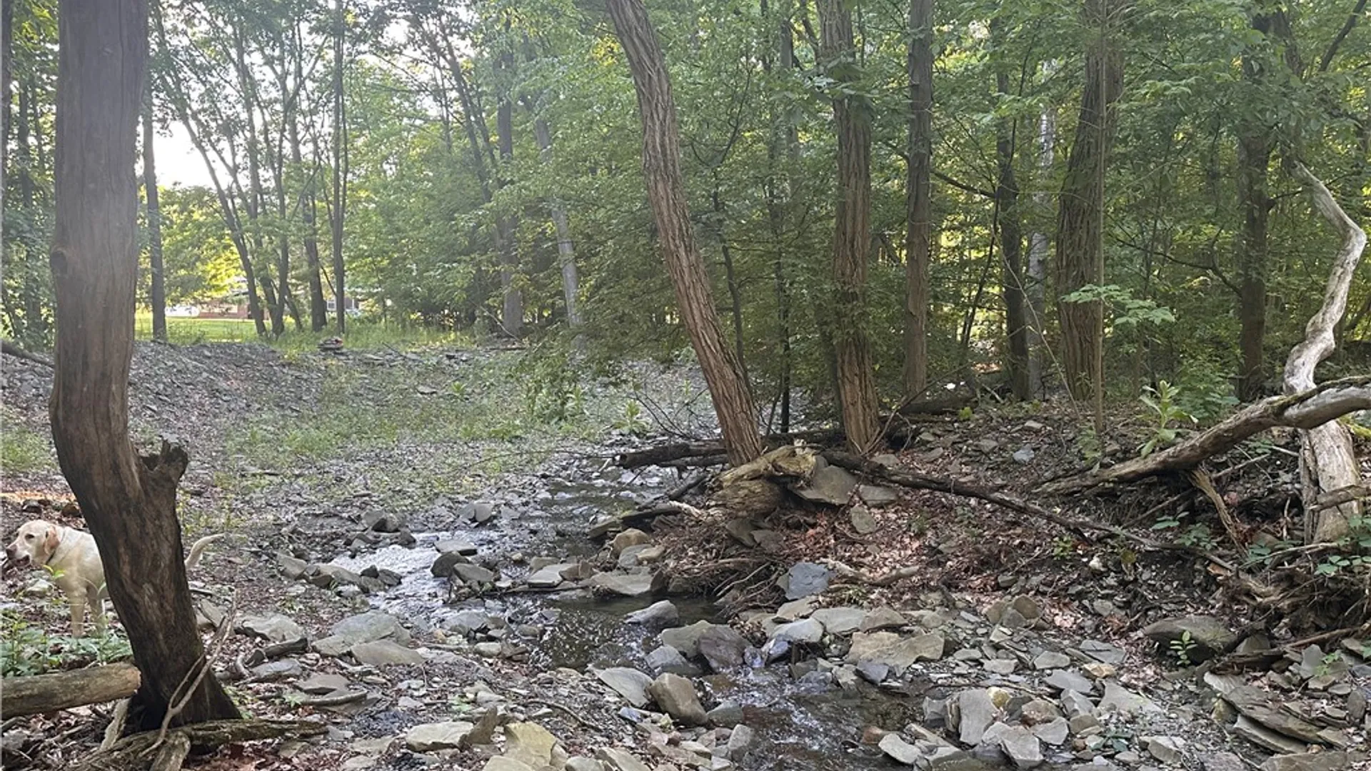 Property at 160 Martin Road, Italy, NY 14512 38
