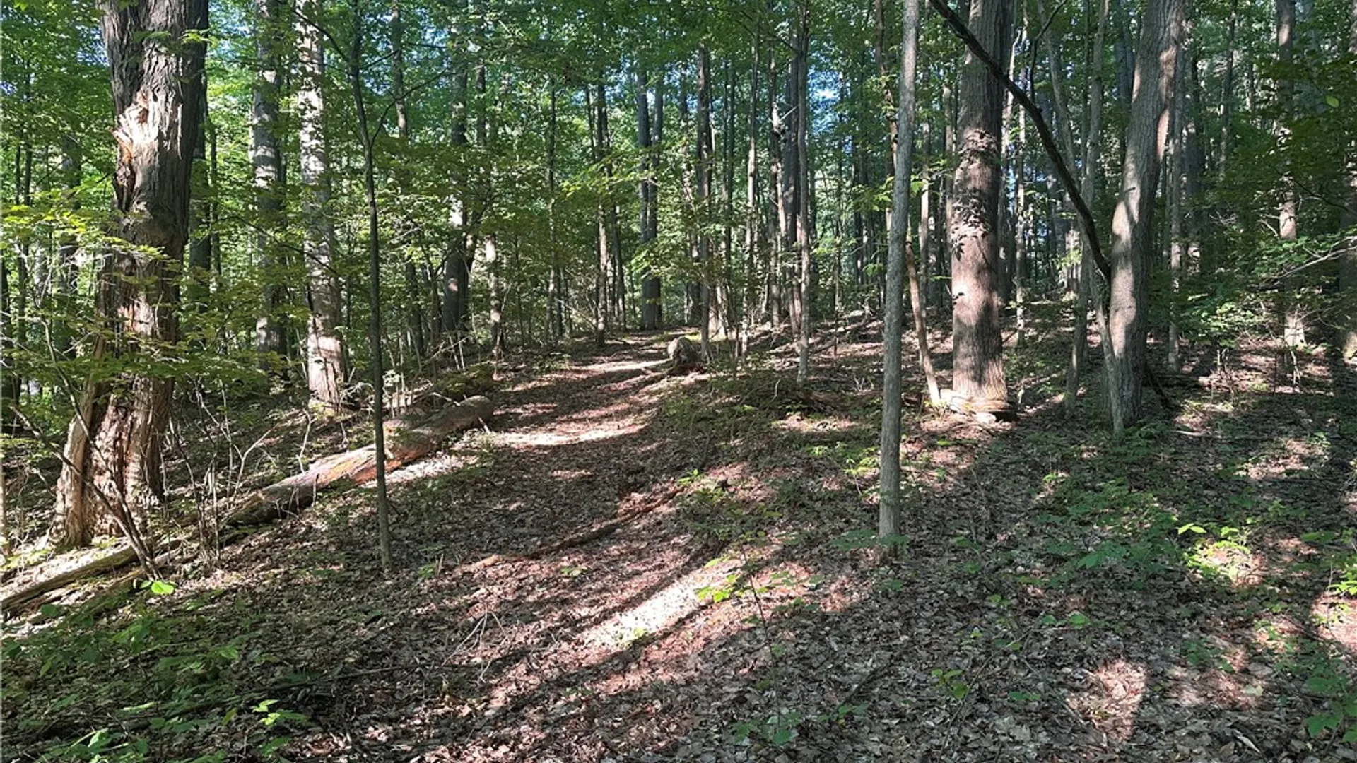 Property at 160 Martin Road, Italy, NY 14512 39