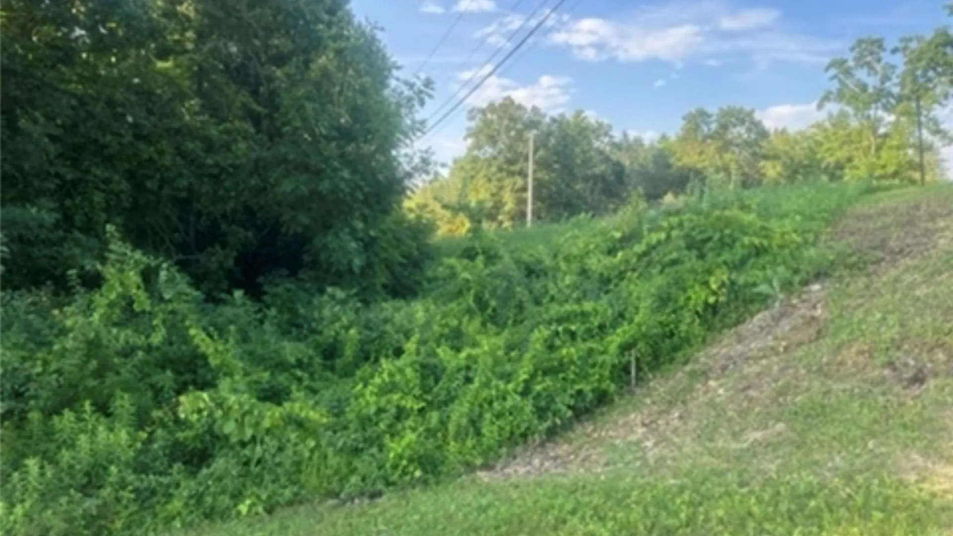 Property at Commons Road, Germantown, NY 12526 10