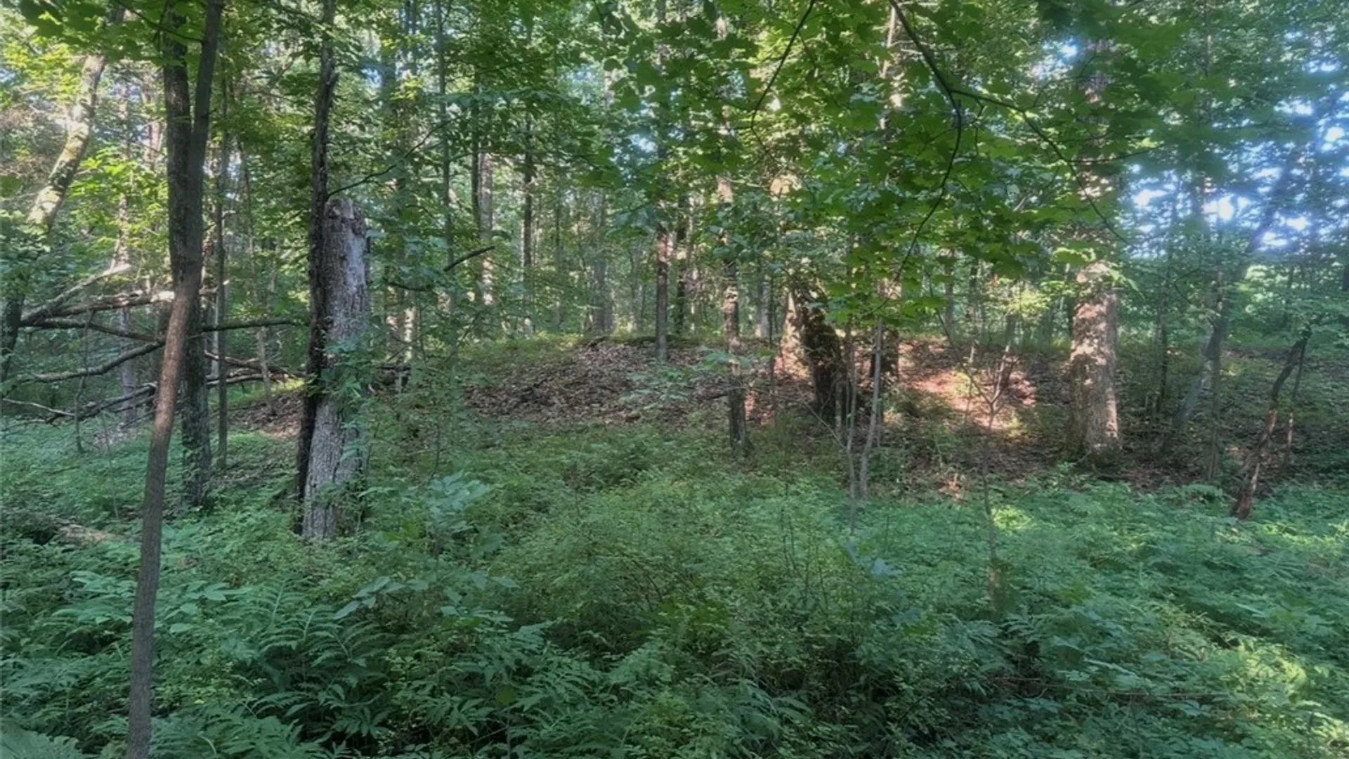 Property at Commons Road, Germantown, NY 12526 9