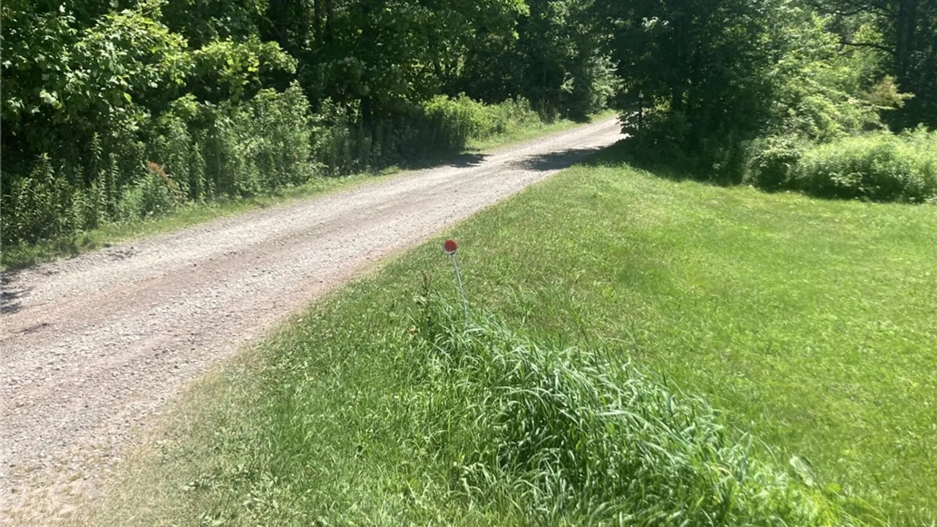 Property at Rt-206, Masonville, NY 13804 2