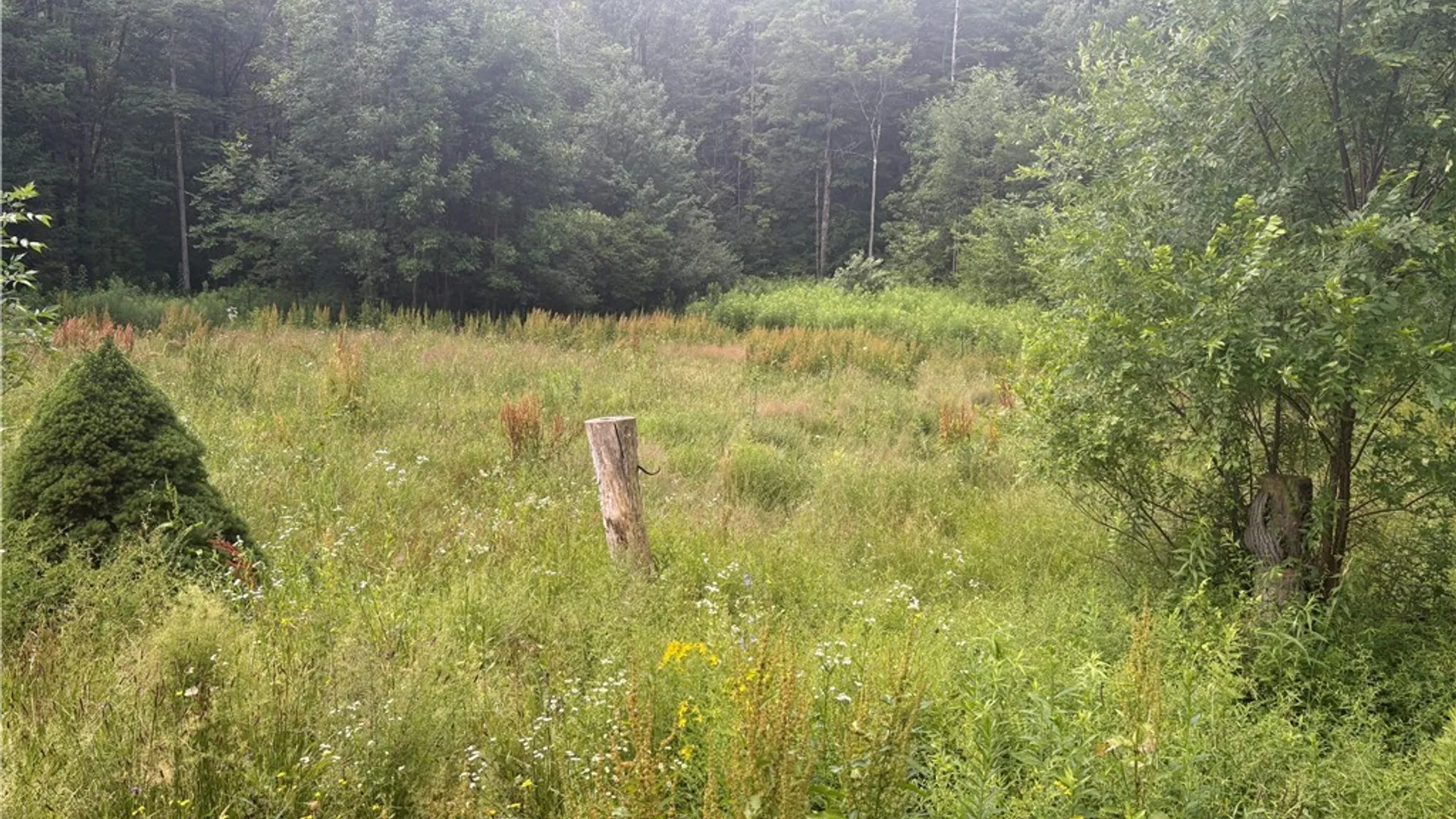 Property at 215 County Route 22, Parish, NY 13131 5