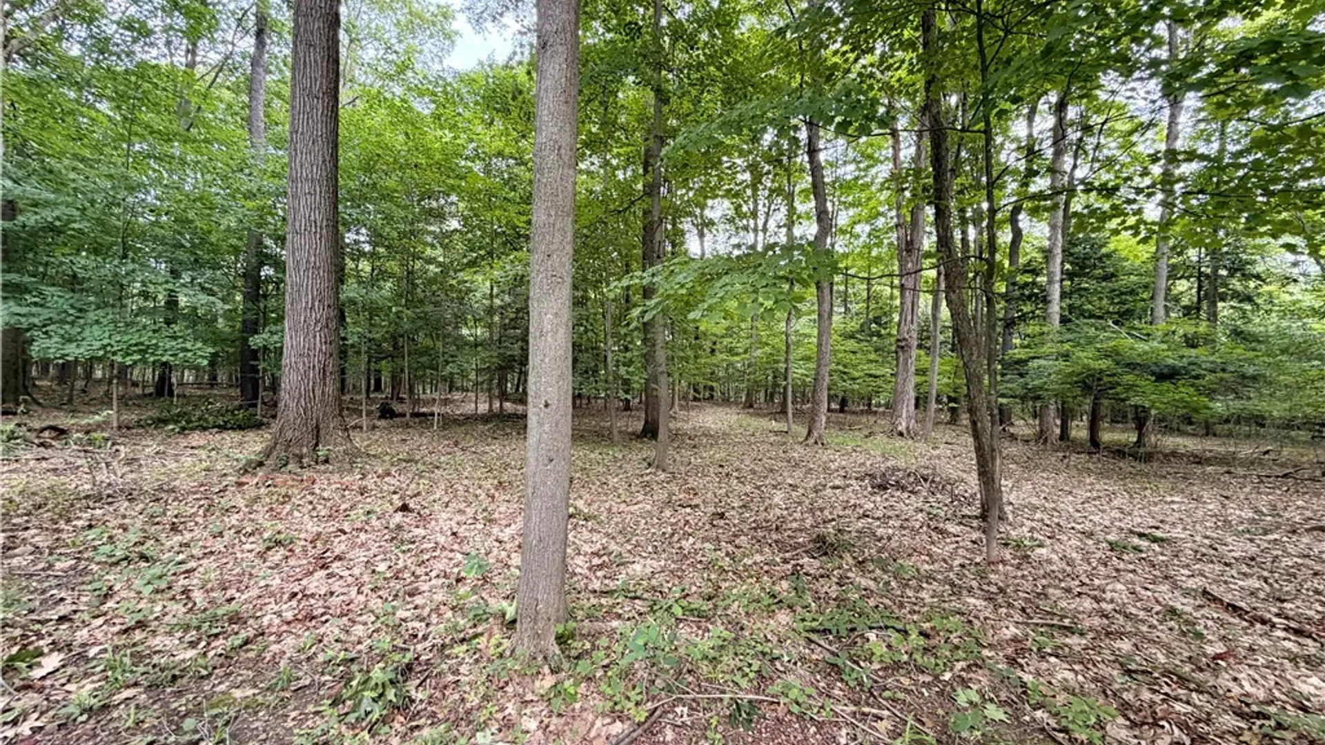 Property at 2776 Madonna Drive, Eden, NY 14057 37