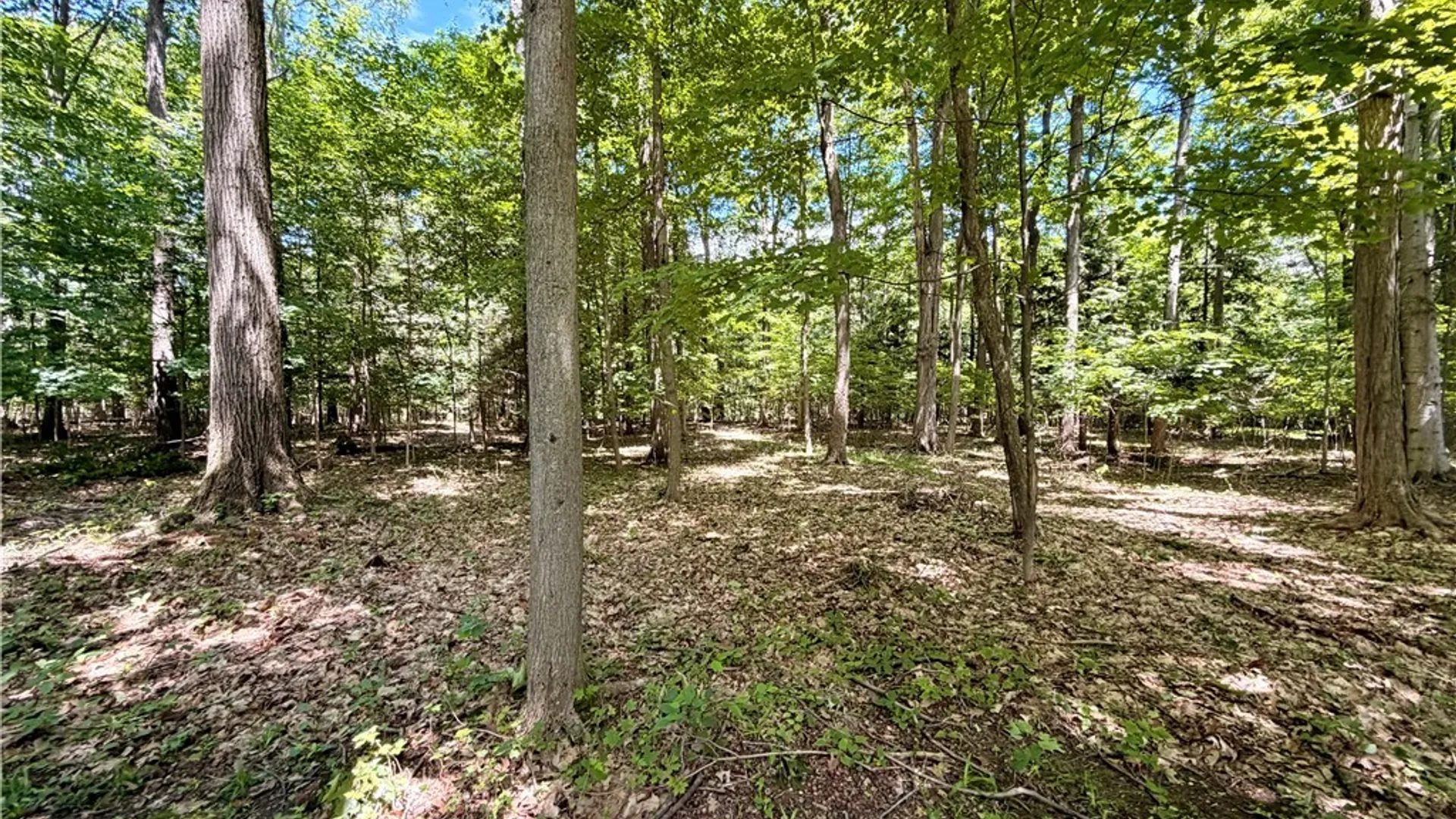 Property at 2776 Madonna Drive, Eden, NY 14057 47
