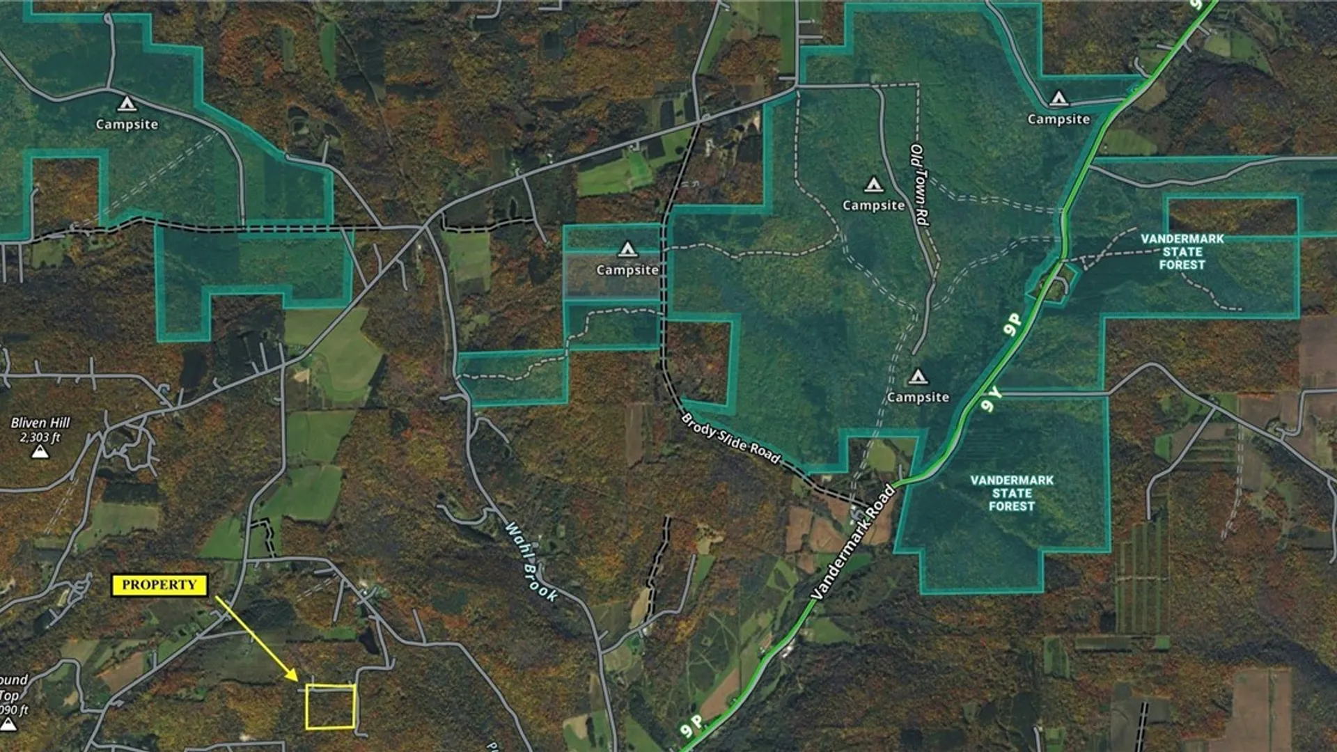 Property at Putt Brook Road, Ward, NY 14880 26