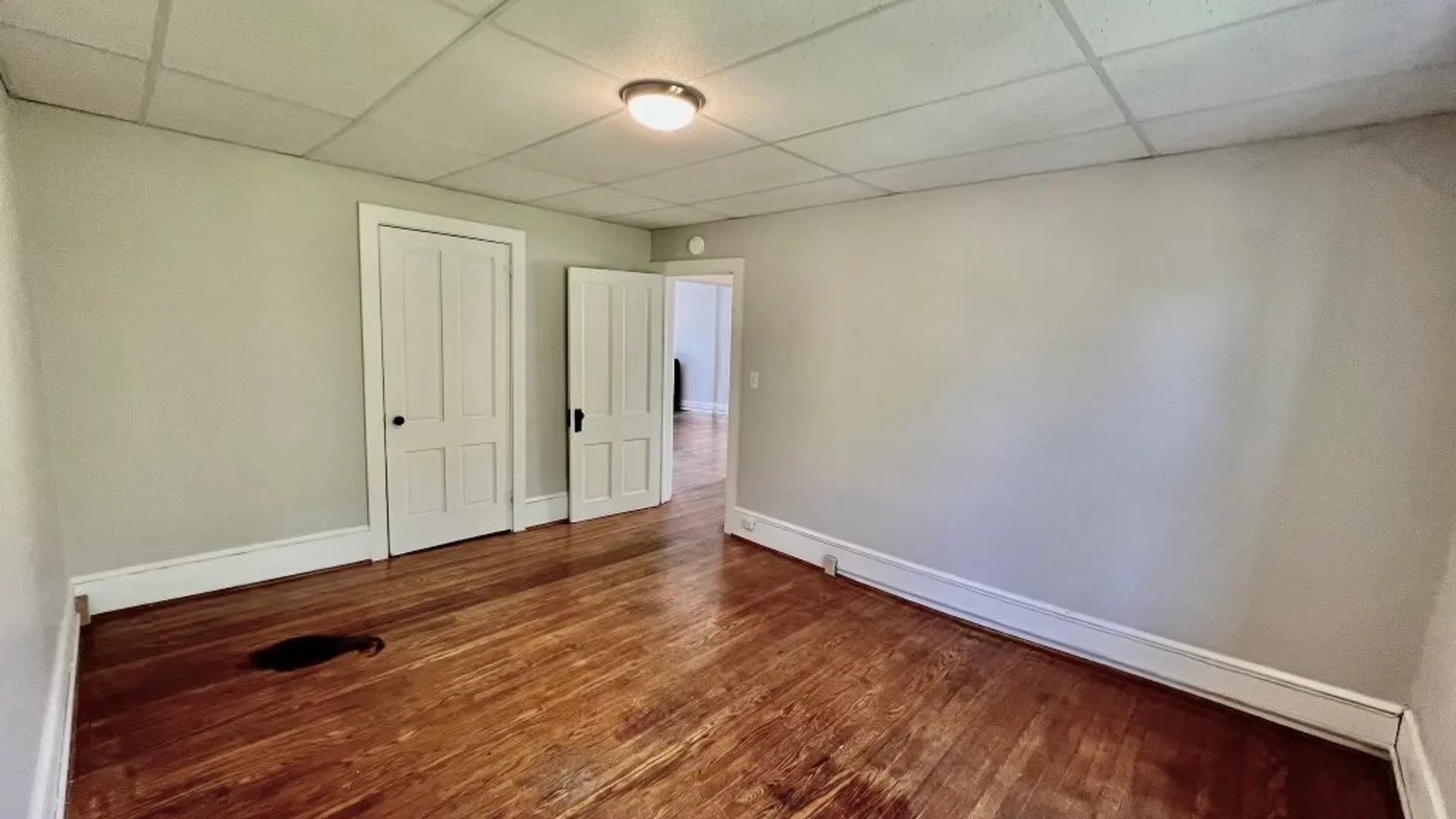 Property at 431 E Seneca Street, Ithaca City, NY 14850 24
