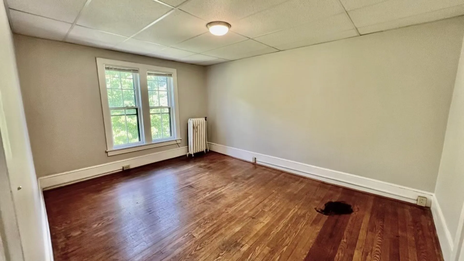Property at 431 E Seneca Street, Ithaca City, NY 14850 26
