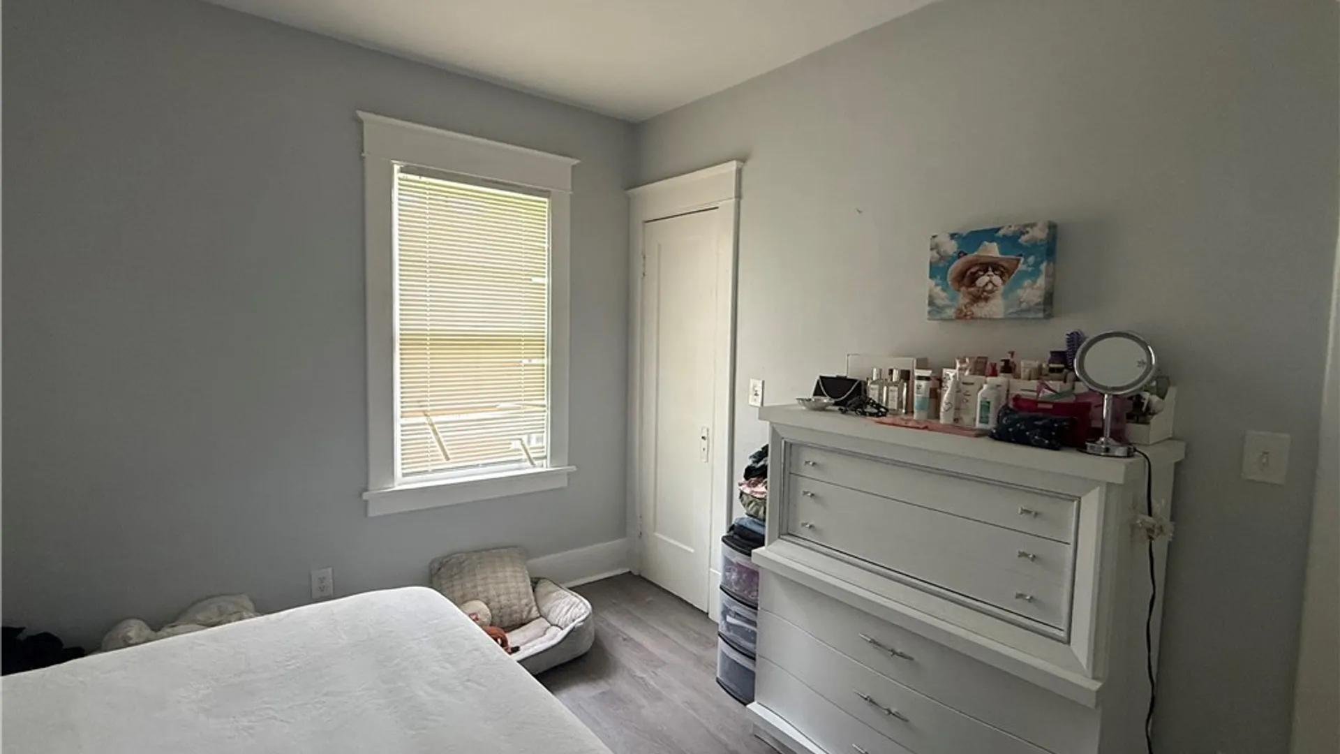 Property at 422 Colvin Avenue, Buffalo, NY 14216 22