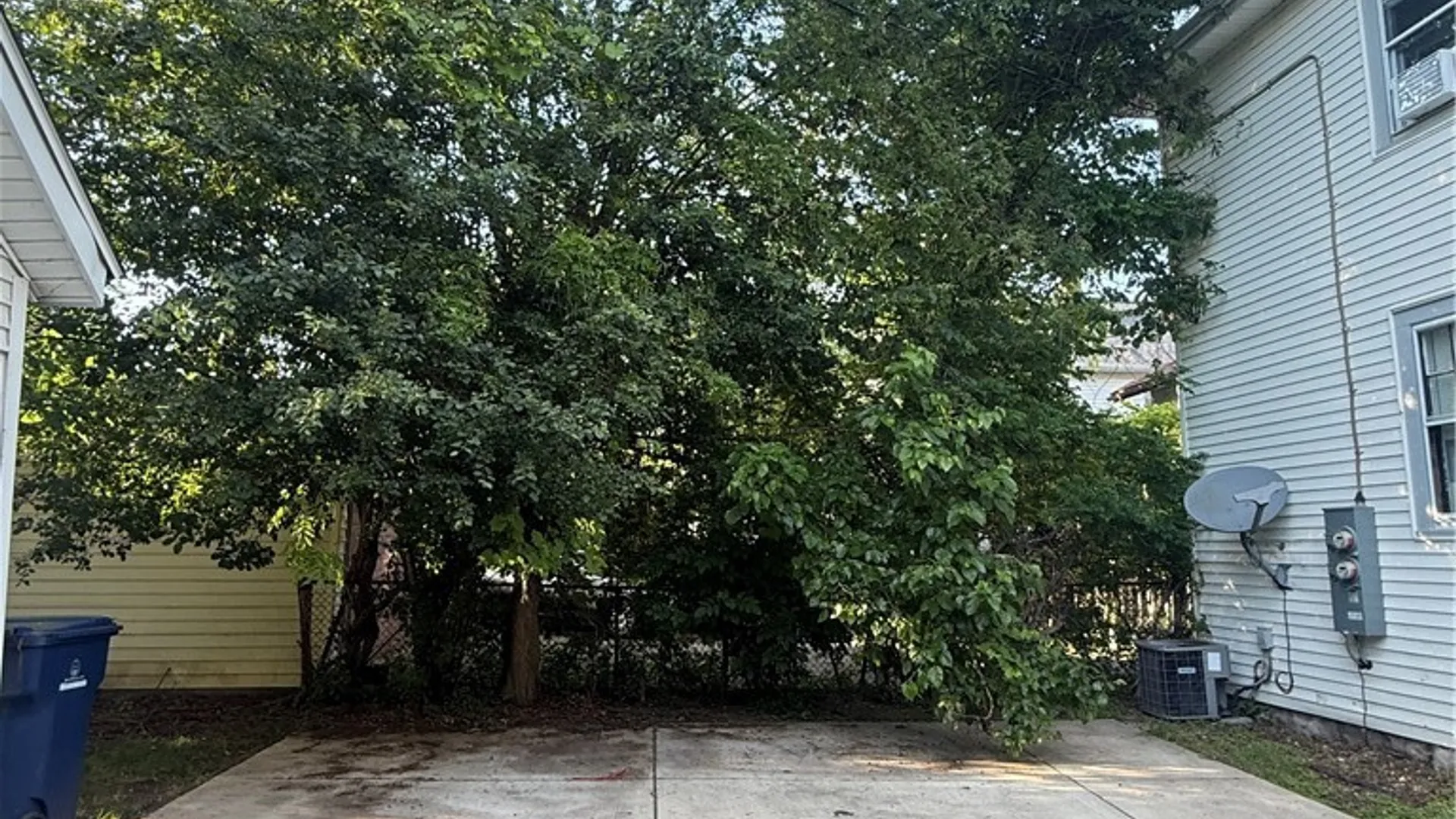 Property at 422 Colvin Avenue, Buffalo, NY 14216 8