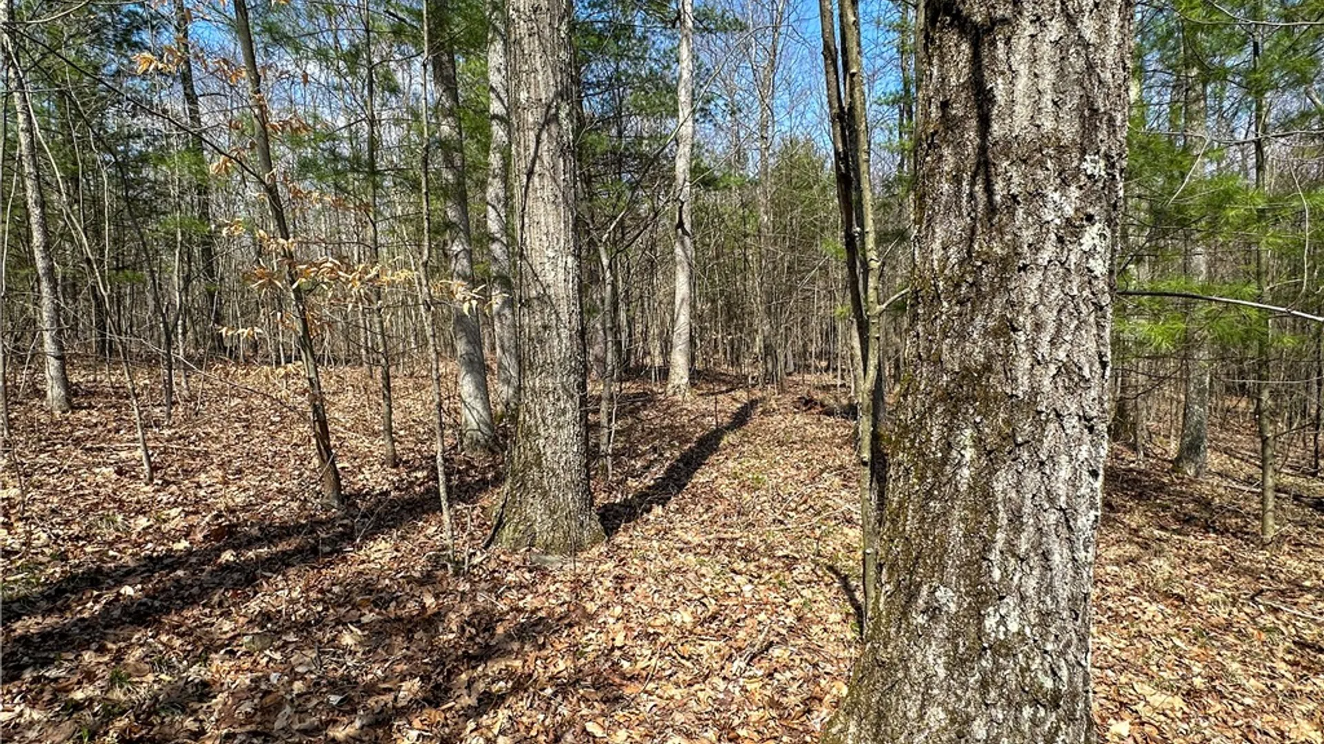 Property at 1232 Bell Hill Road, Lindley, NY 14858 13