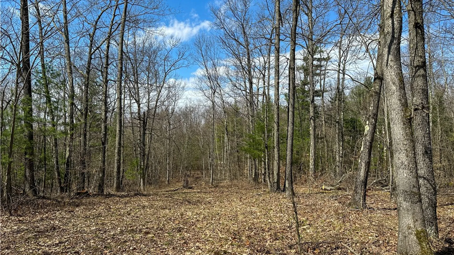 Property at 1232 Bell Hill Road, Lindley, NY 14858 16