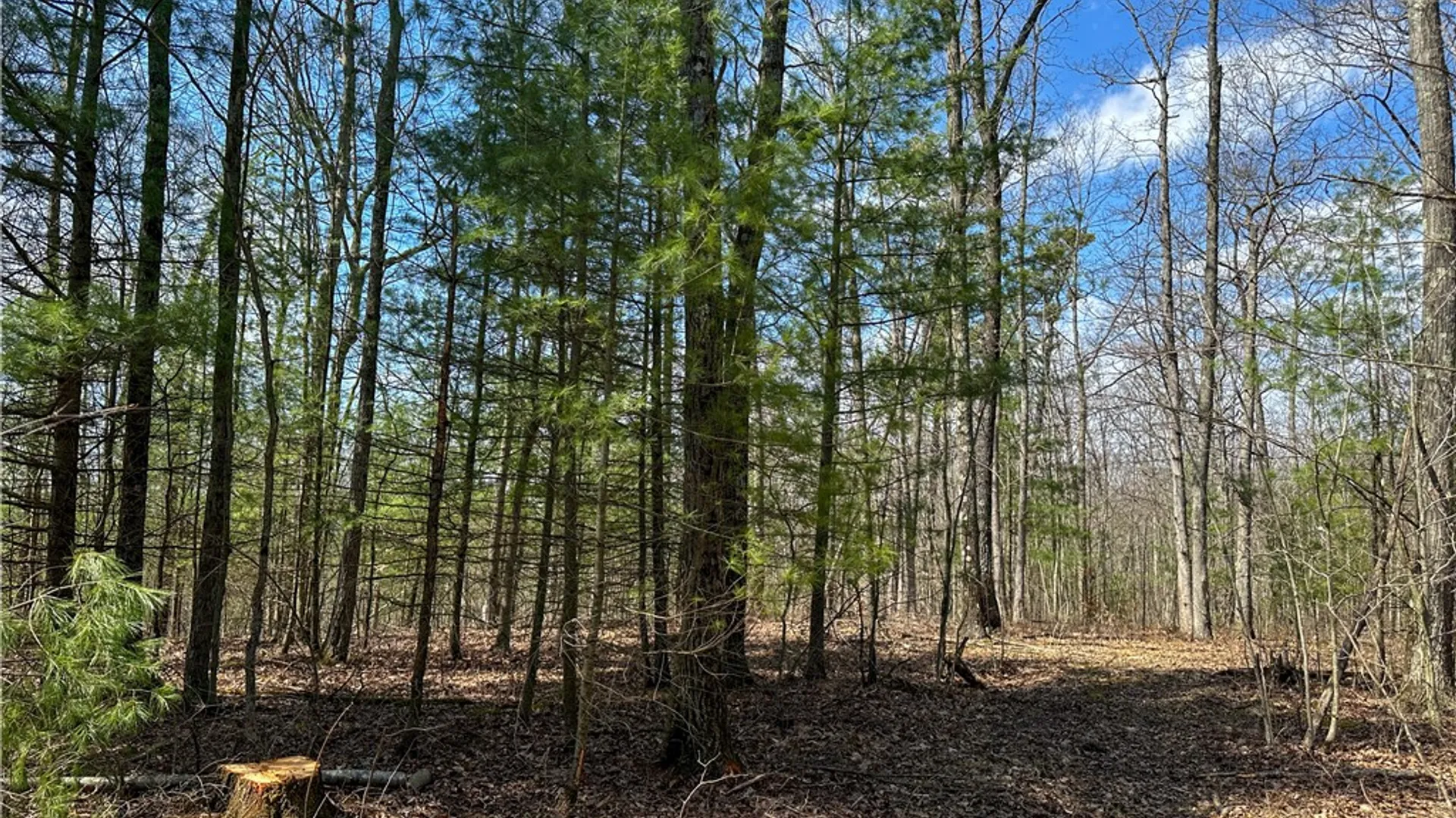Property at 1232 Bell Hill Road, Lindley, NY 14858 17