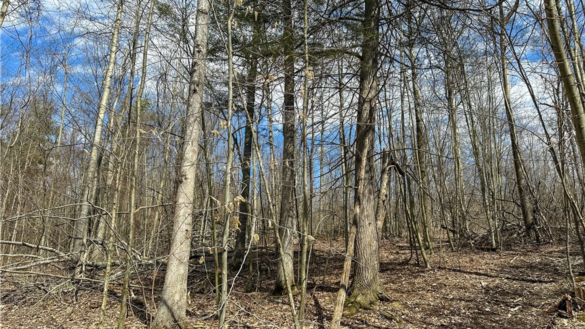 Property at 1232 Bell Hill Road, Lindley, NY 14858 22