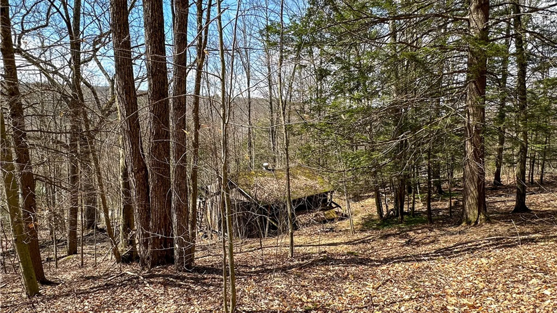 Property at 1232 Bell Hill Road, Lindley, NY 14858 24