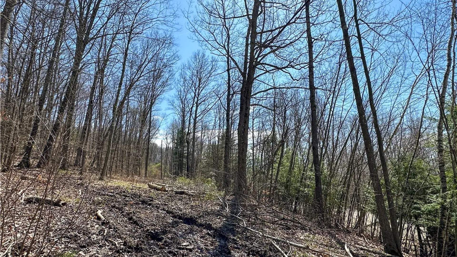 Property at 1232 Bell Hill Road, Lindley, NY 14858 29