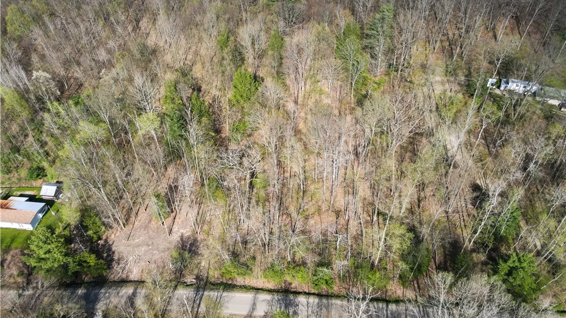 Property at 1232 Bell Hill Road, Lindley, NY 14858 31