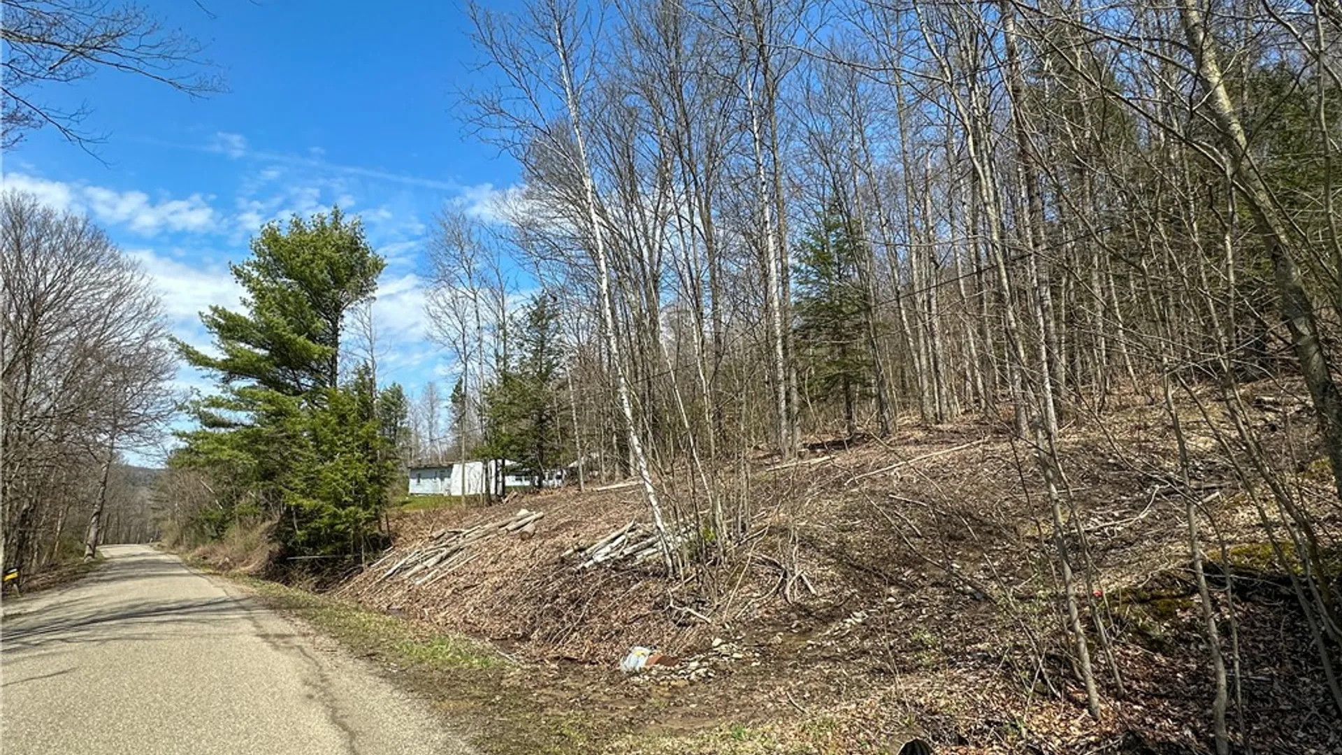 Property at 1232 Bell Hill Road, Lindley, NY 14858 4