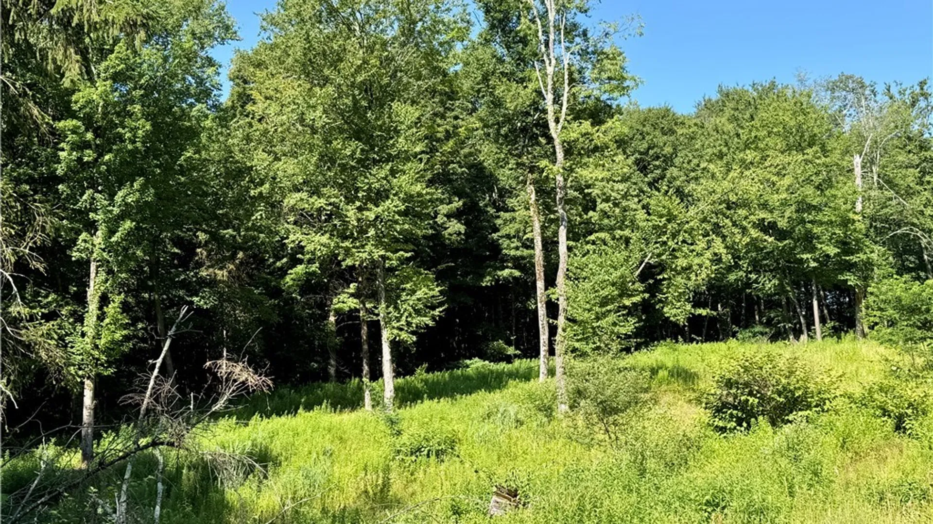 Property at 10 Whispering Oaks Lane, Orwell, NY 13302 5