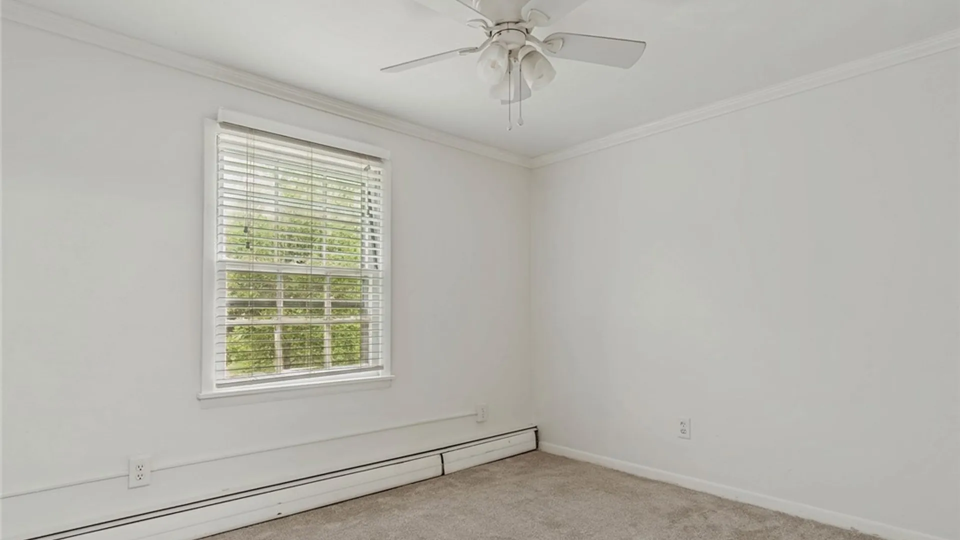 Property at 147 Elm Street, Watertown City, NY 13601 12