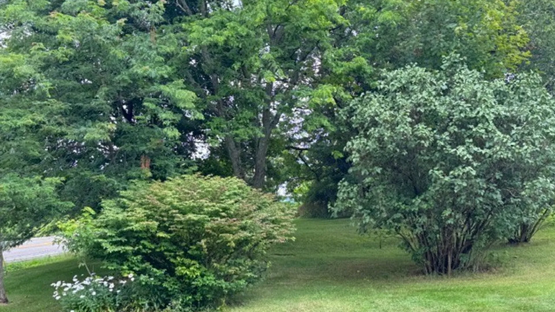 Property at 3109 Route 83, Arkwright, NY 14063 6