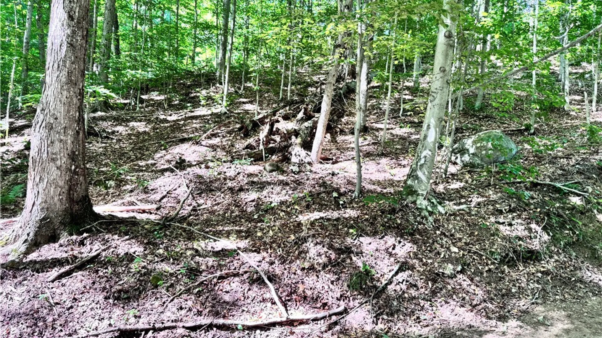 Property at Oneida Road, Webb, NY 13420 2