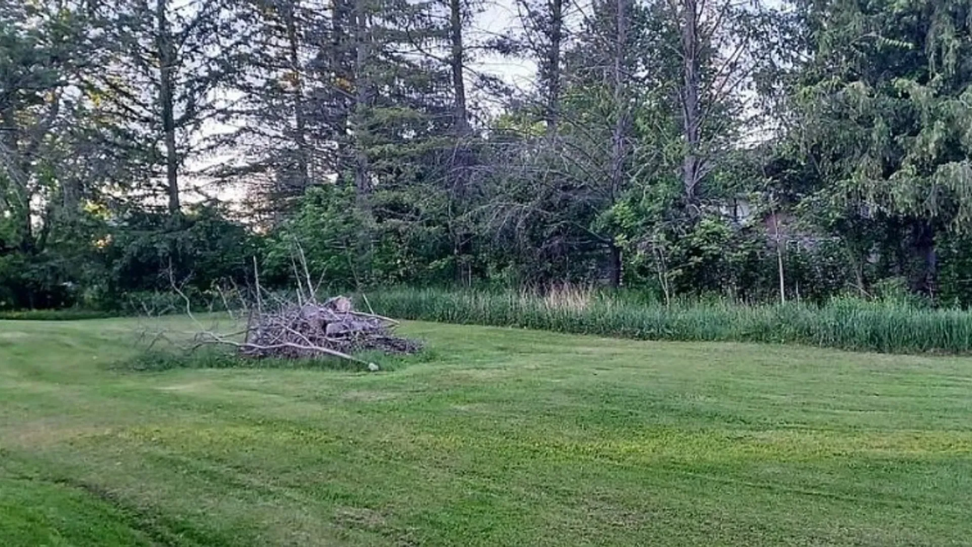 Property at 5906 County Road 11, Catharine, NY 14805 29