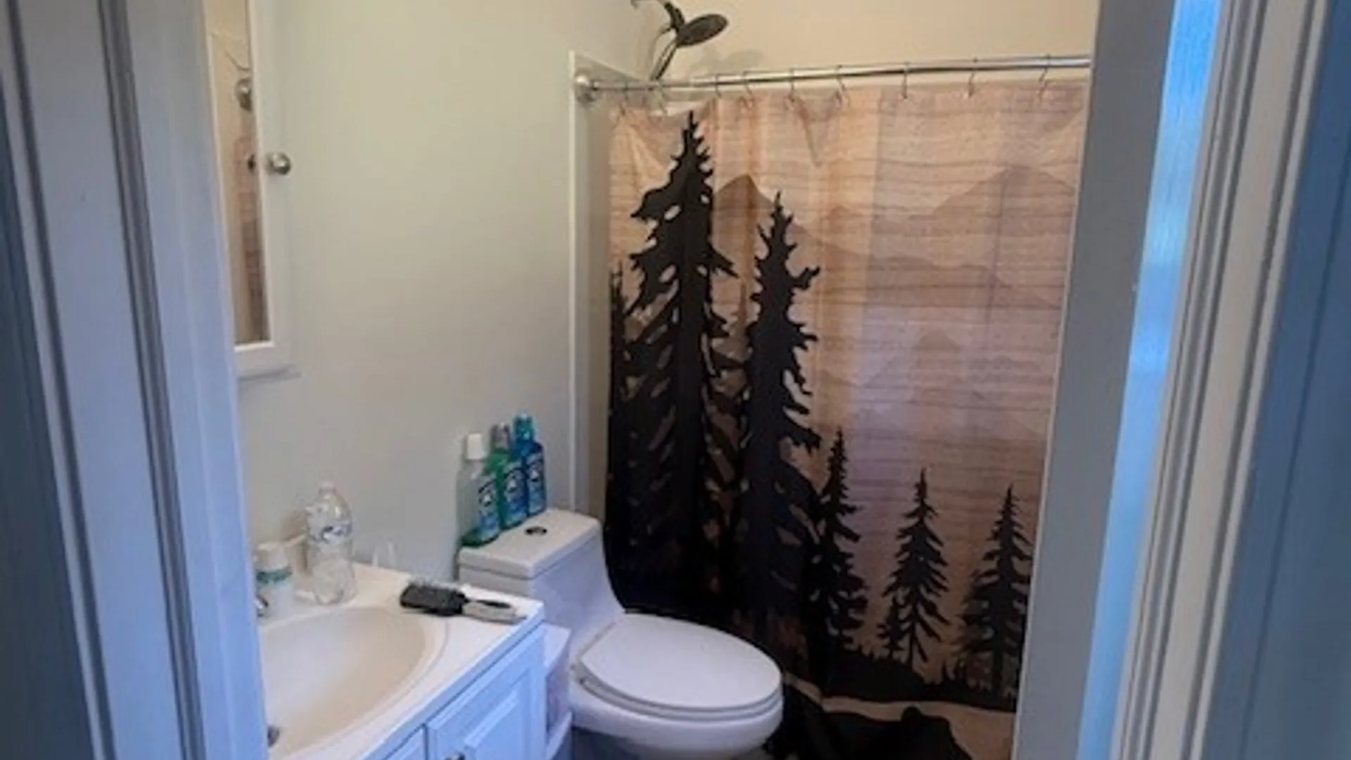 Property at 406 Tracy Road, Coventry, NY 13730 24