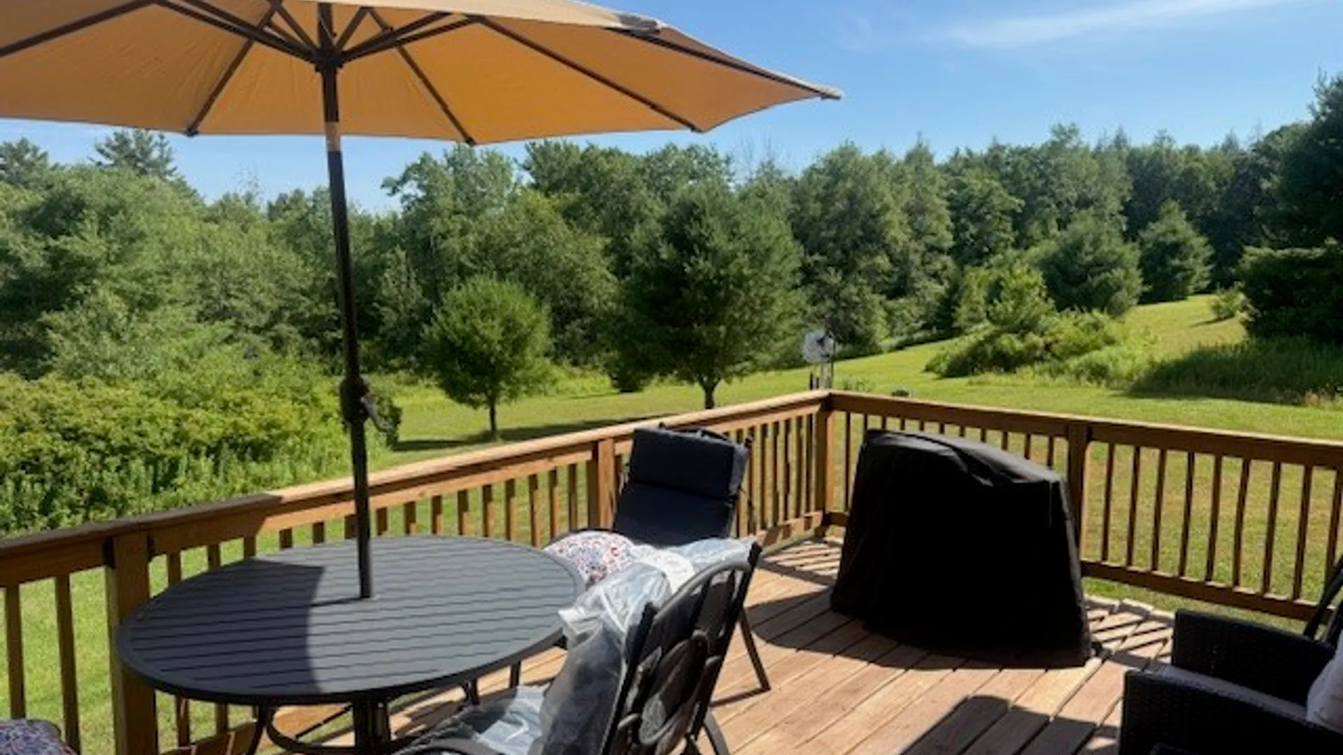 Property at 406 Tracy Road, Coventry, NY 13730 7