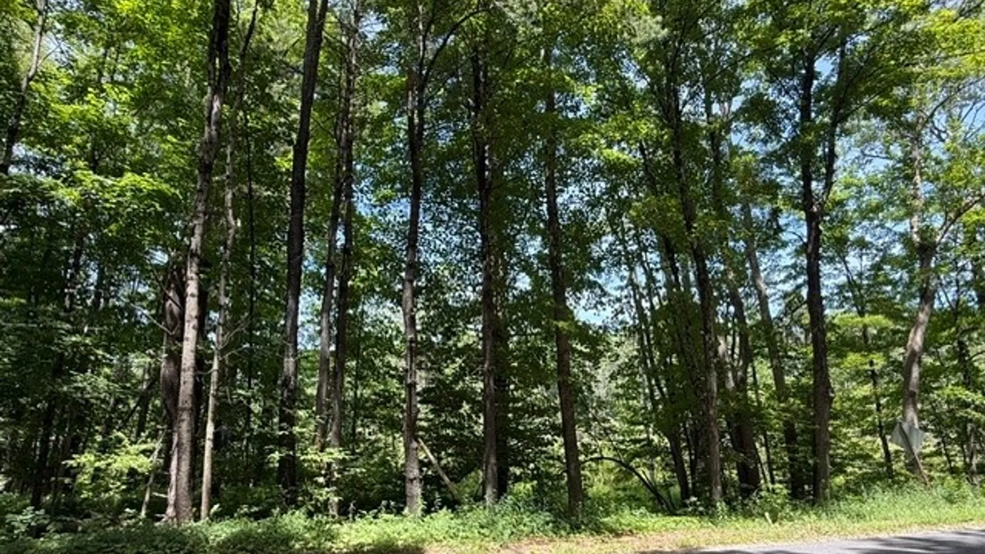 Property at 10145 Dustin Road, Remsen, NY 13438 3
