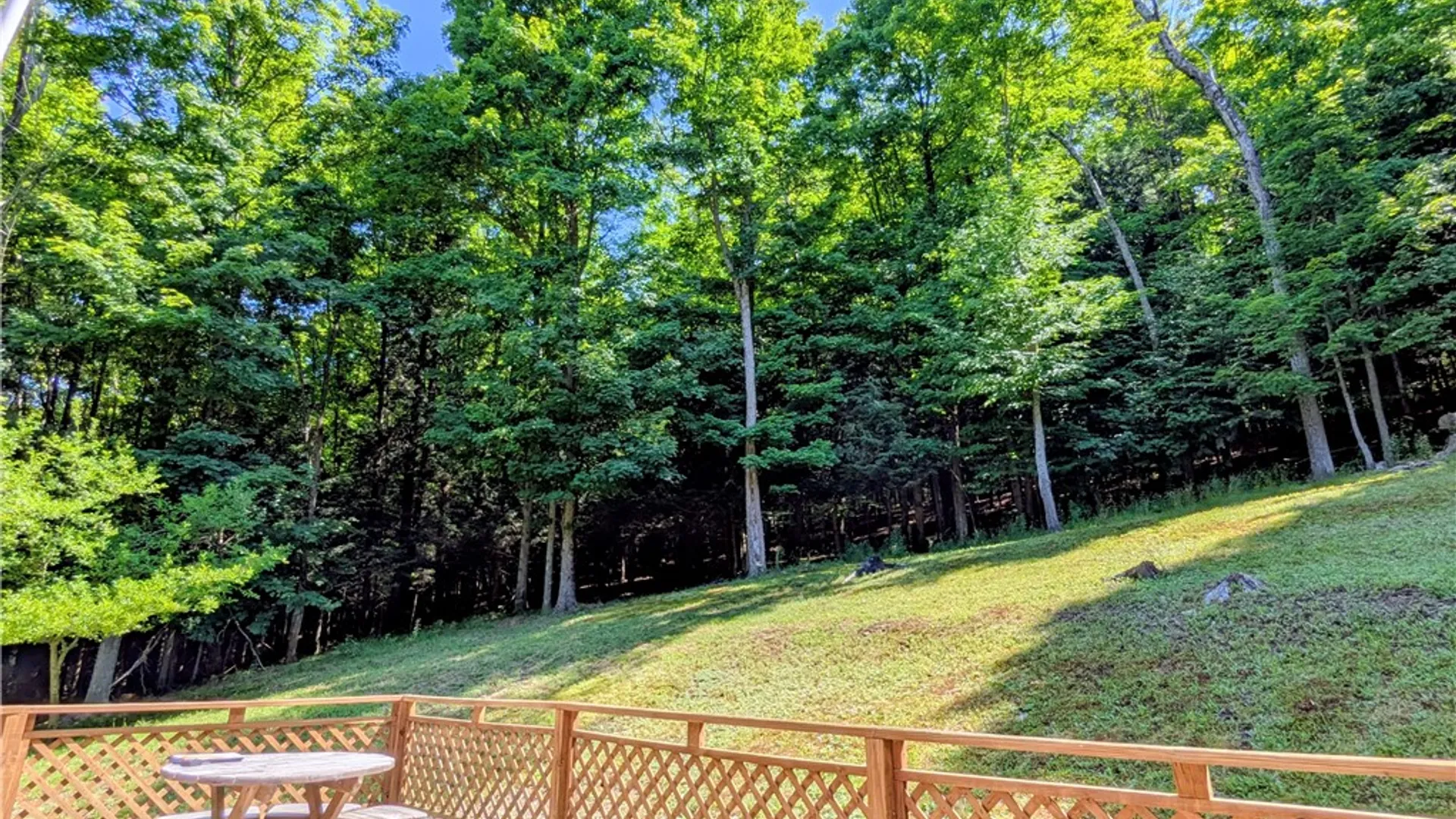 Property at 351 Cahilly Road, Harrison, PA 16948 34