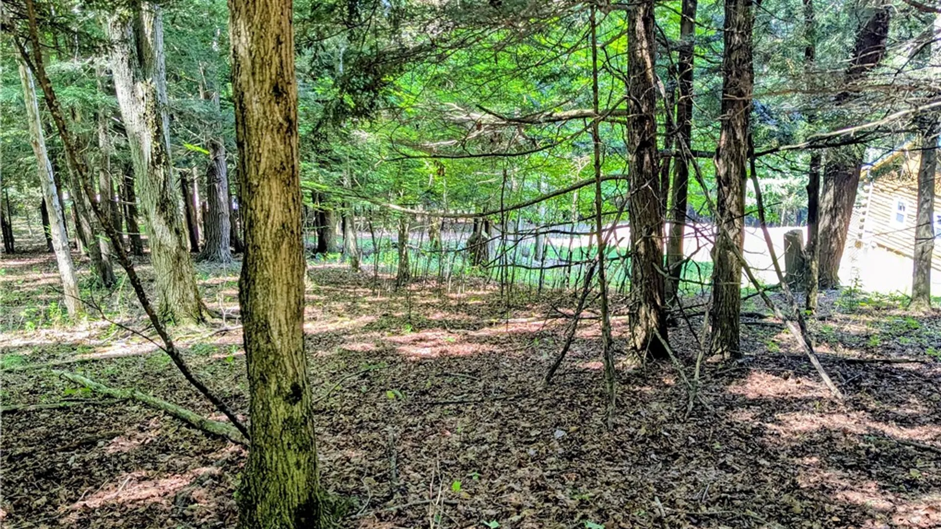 Property at 351 Cahilly Road, Harrison, PA 16948 48