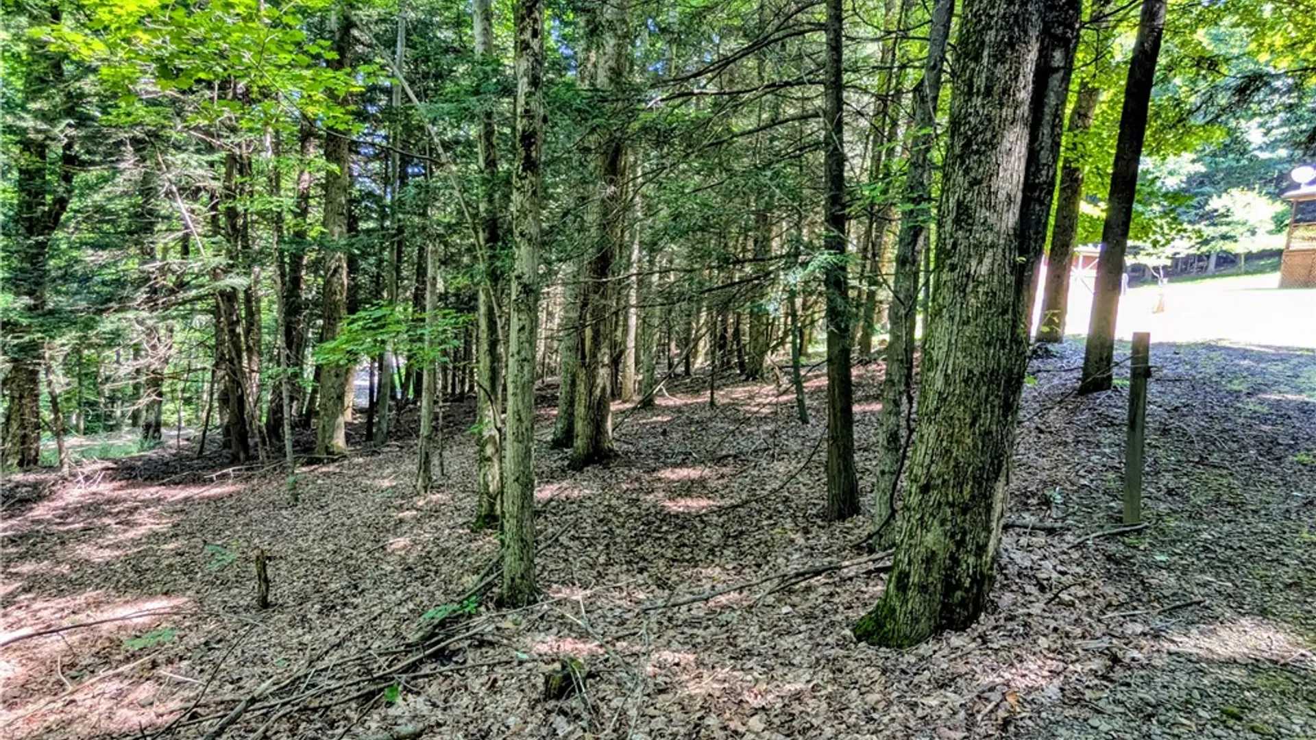 Property at 351 Cahilly Road, Harrison, PA 16948 49