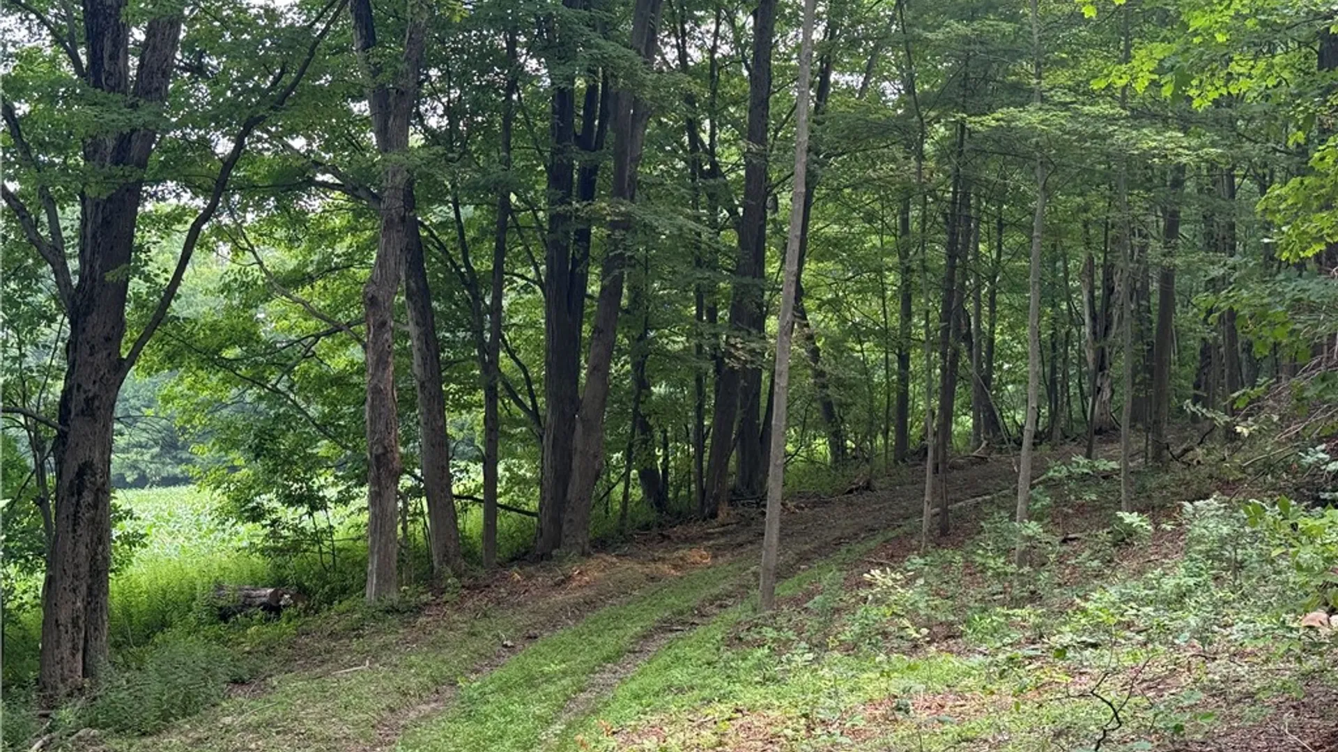 Property at 0 Ringwood Road, Dryden, NY 13068 13