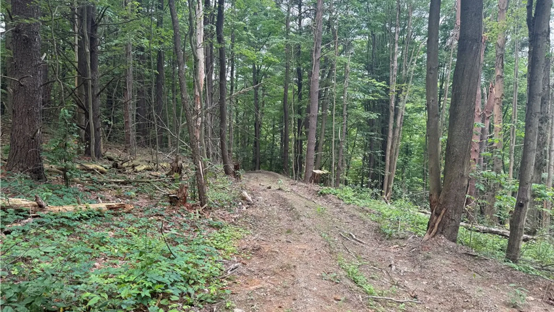 Property at 0 Ringwood Road, Dryden, NY 13068 17