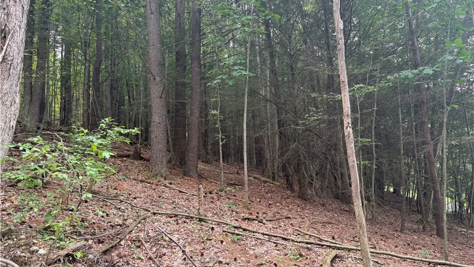 Property at 0 Ringwood Road, Dryden, NY 13068 21