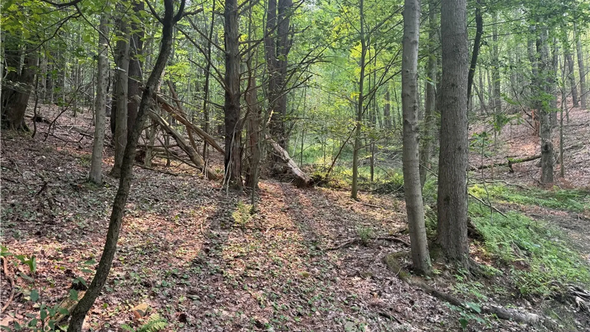 Property at 0 Ringwood Road, Dryden, NY 13068 6