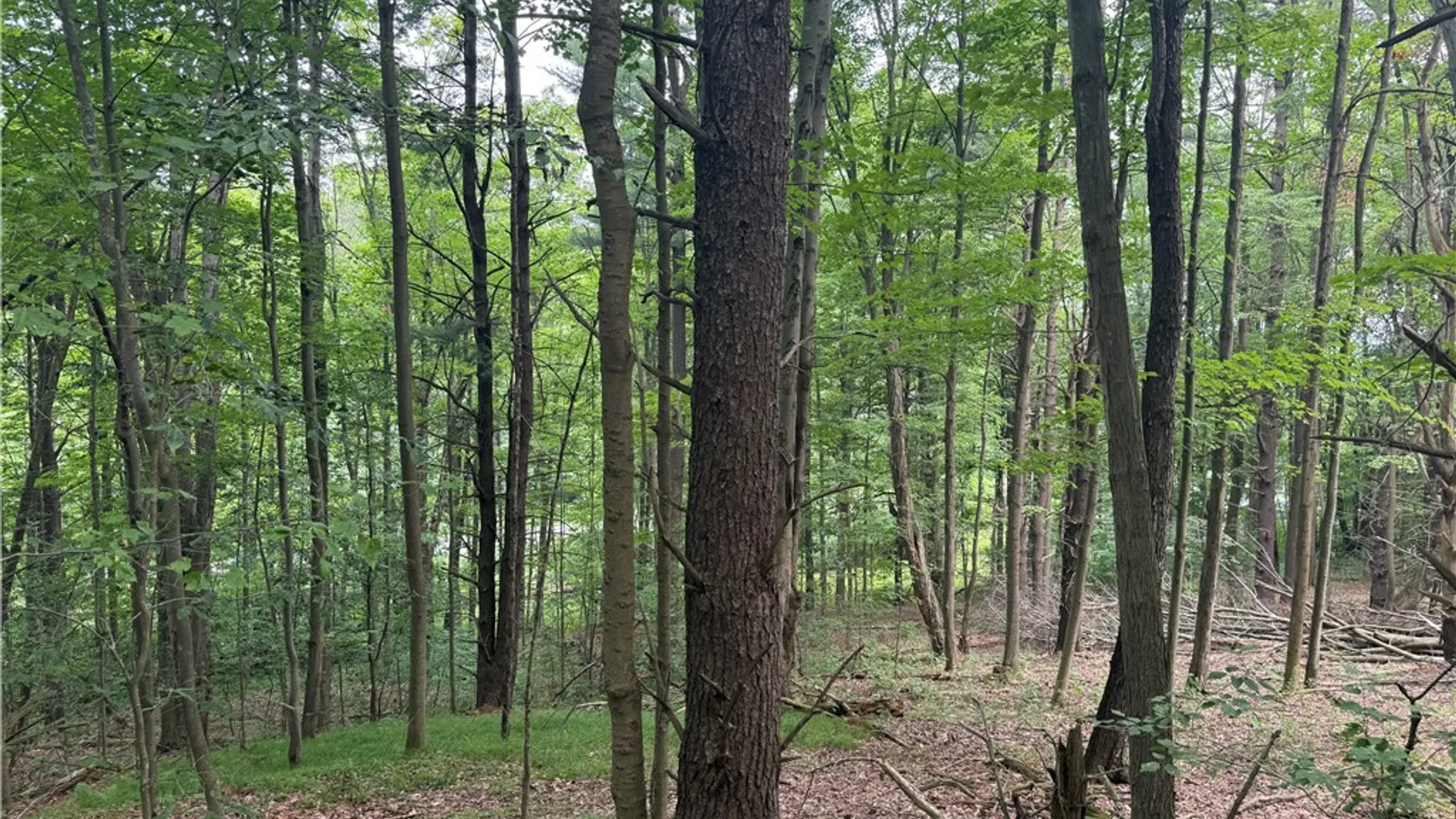 Property at 0 Ringwood Road, Dryden, NY 13068 8