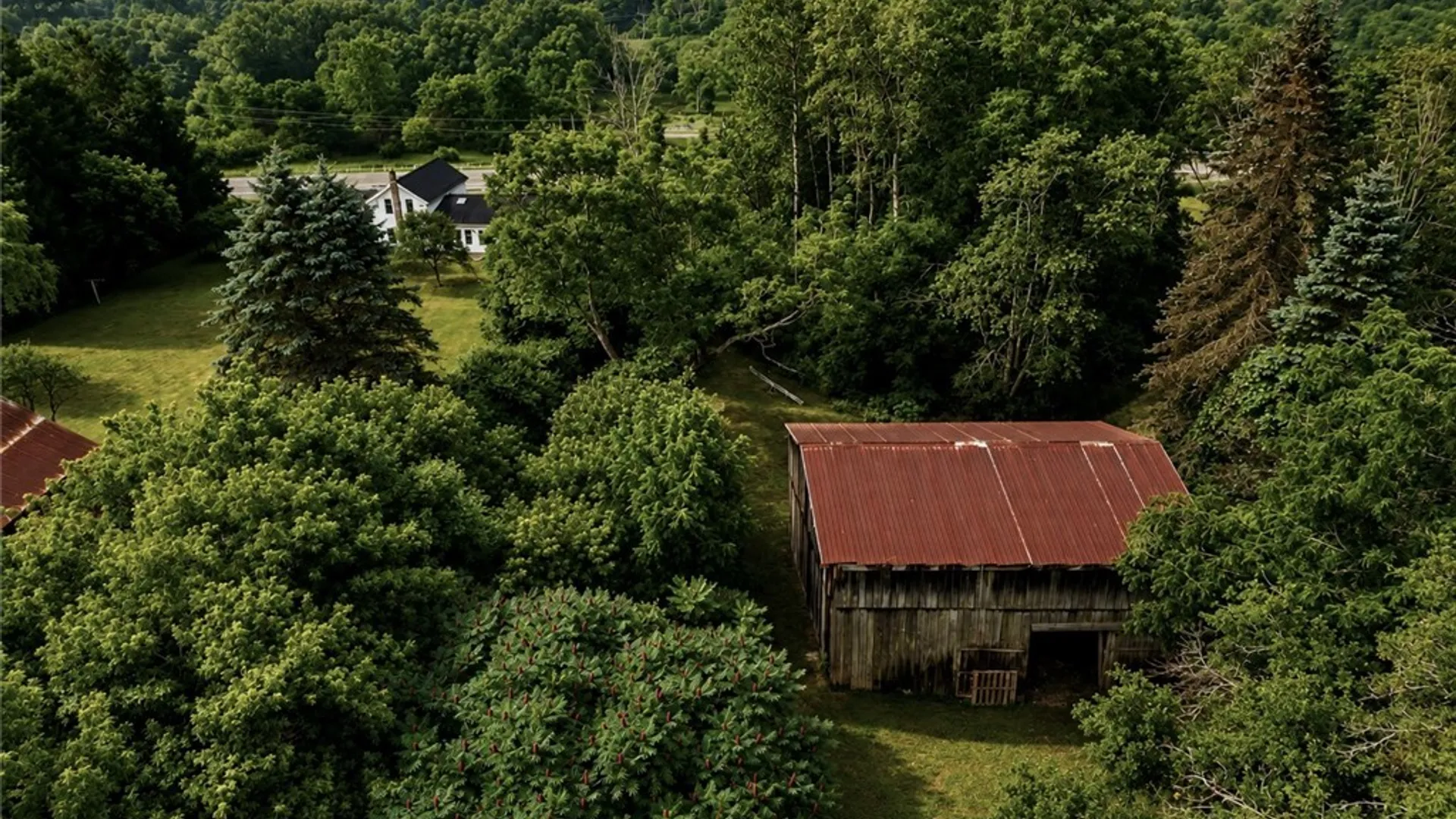 Property at 5100 Route 16, Ischua, NY 14743 47