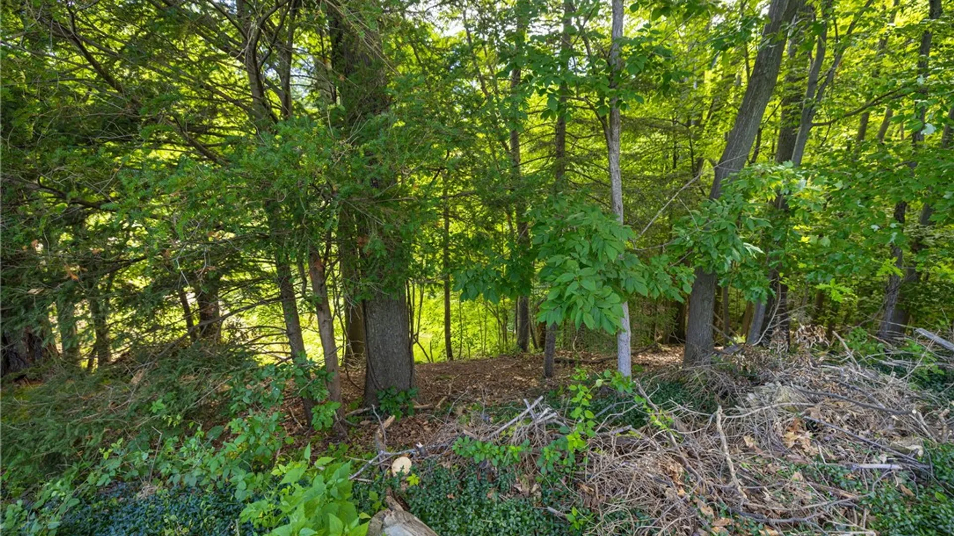 Property at 141 Glenview Lane, Irondequoit, NY 14609 31